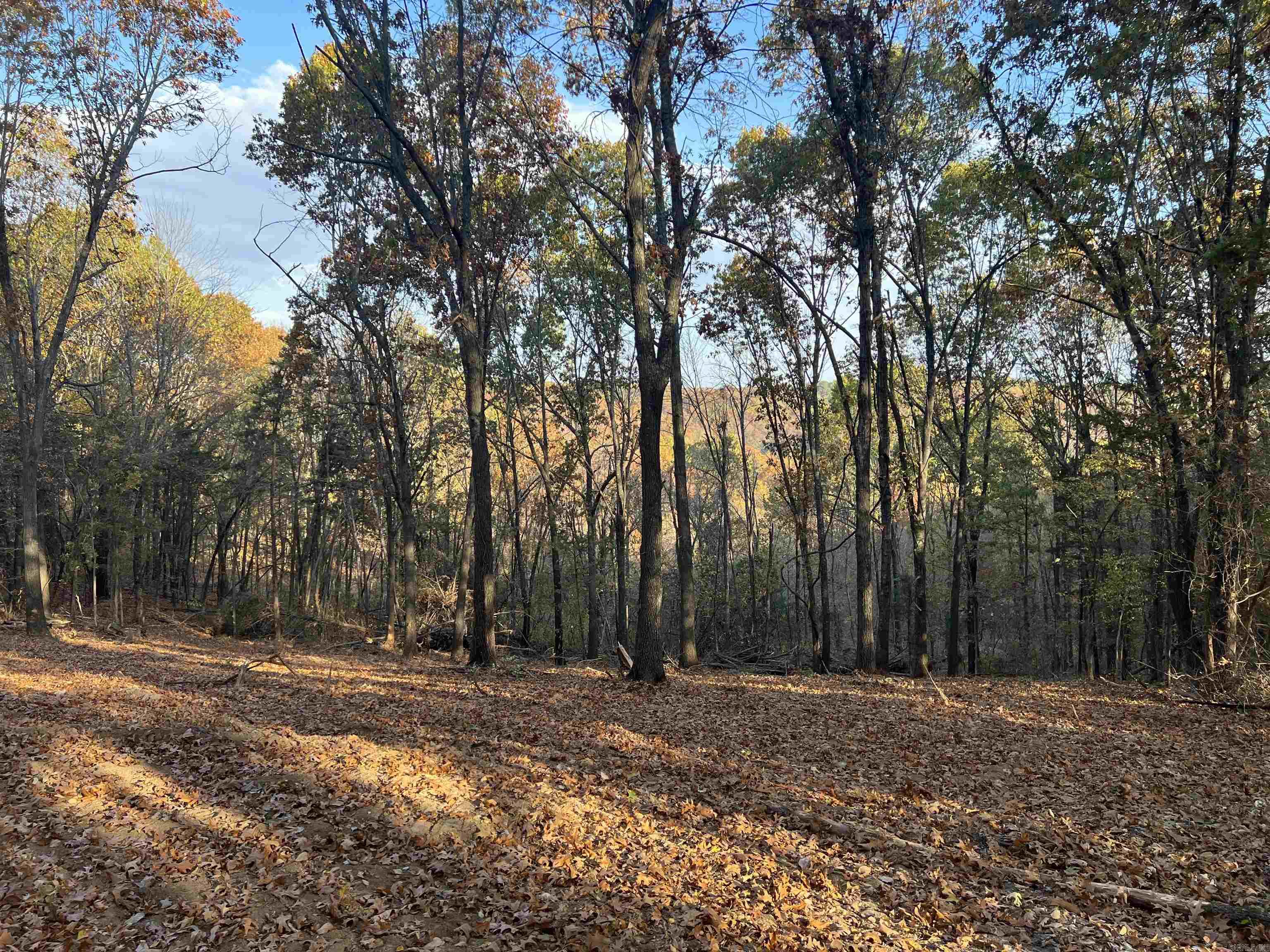 17.03 Ac Jackson Ridge Property Photo 6