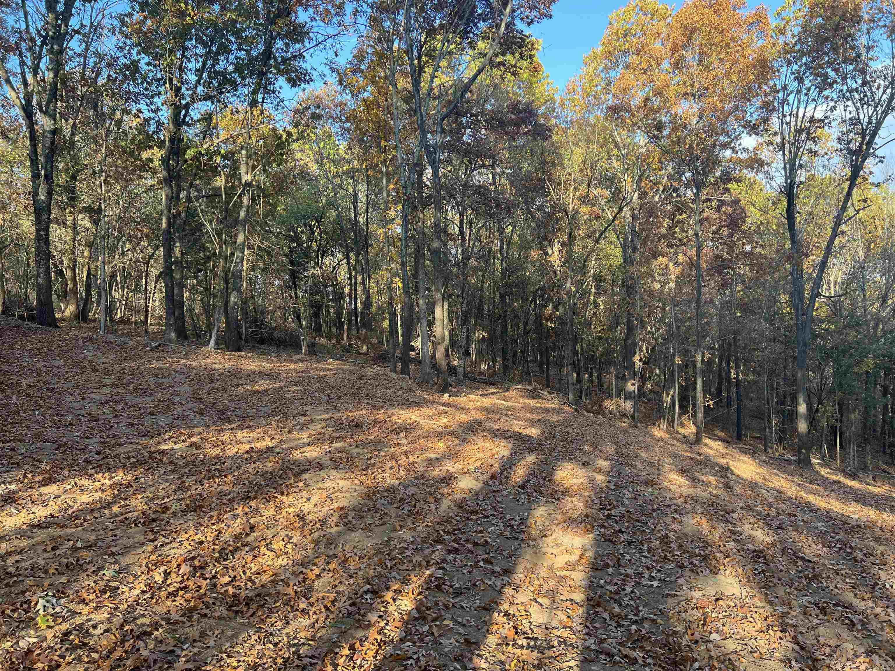 17.03 Ac Jackson Ridge Property Photo 7