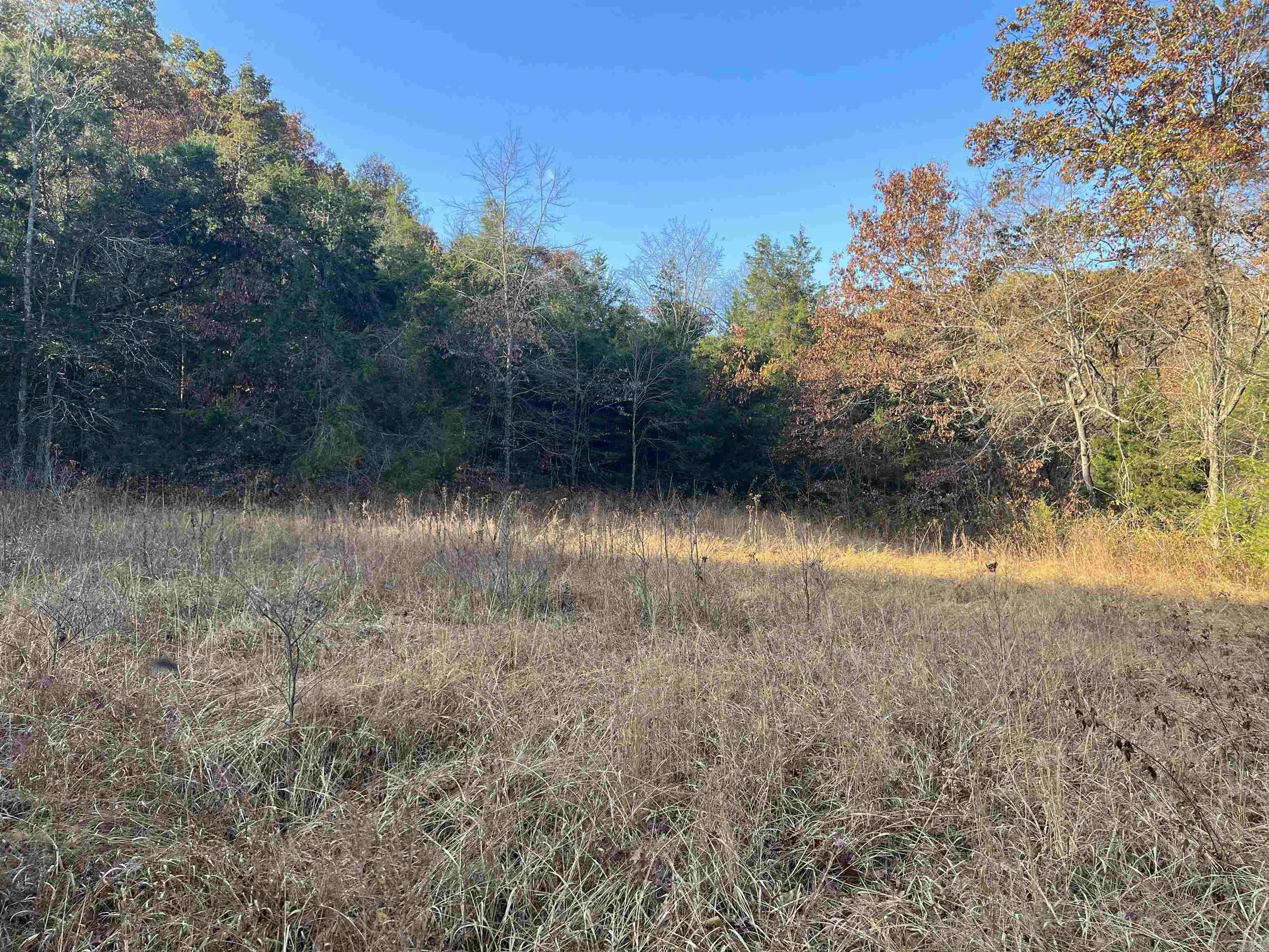 17.03 Ac Jackson Ridge Property Photo 9