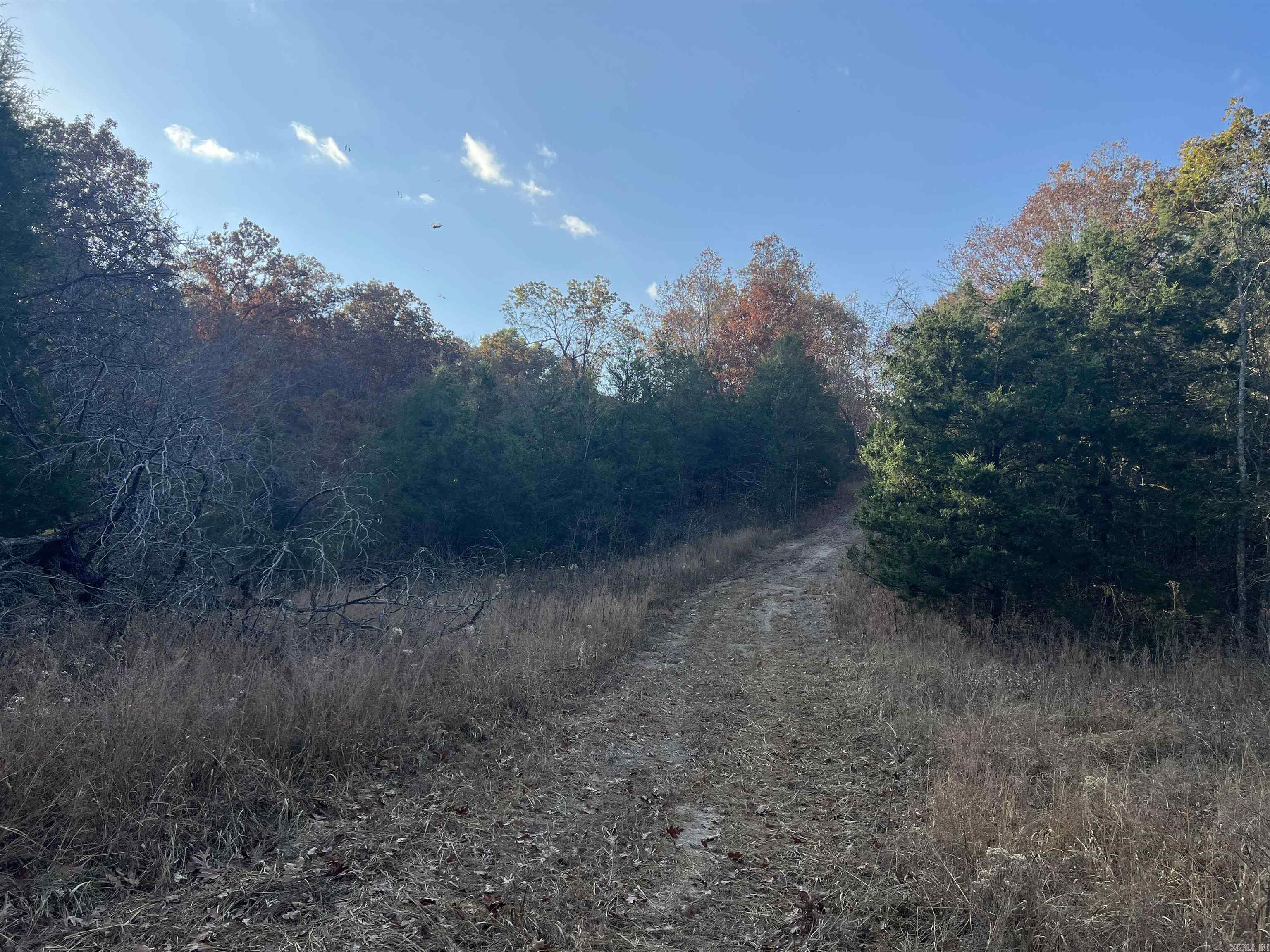 17.03 Ac Jackson Ridge Property Photo 10