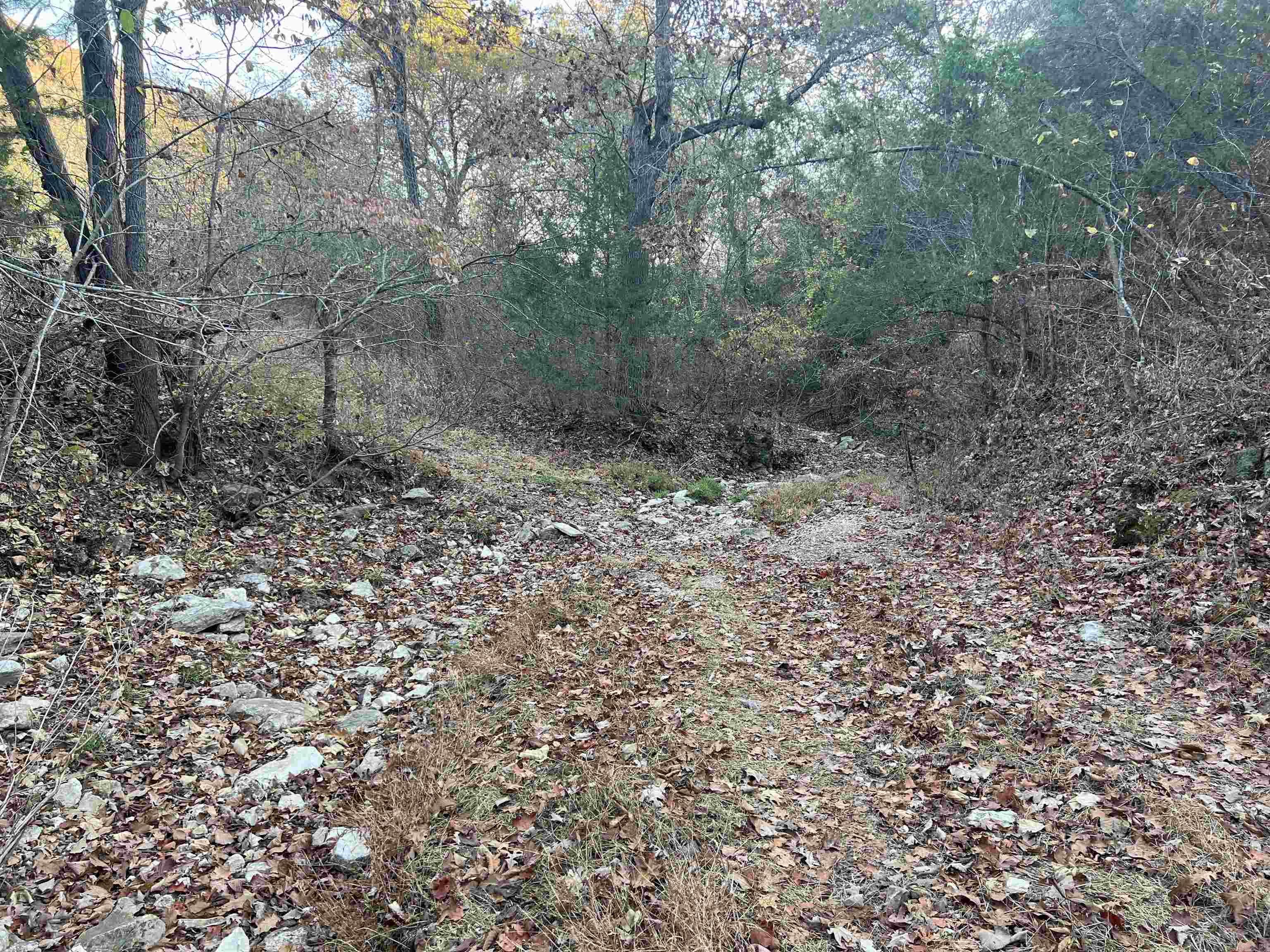 17.03 Ac Jackson Ridge Property Photo 11