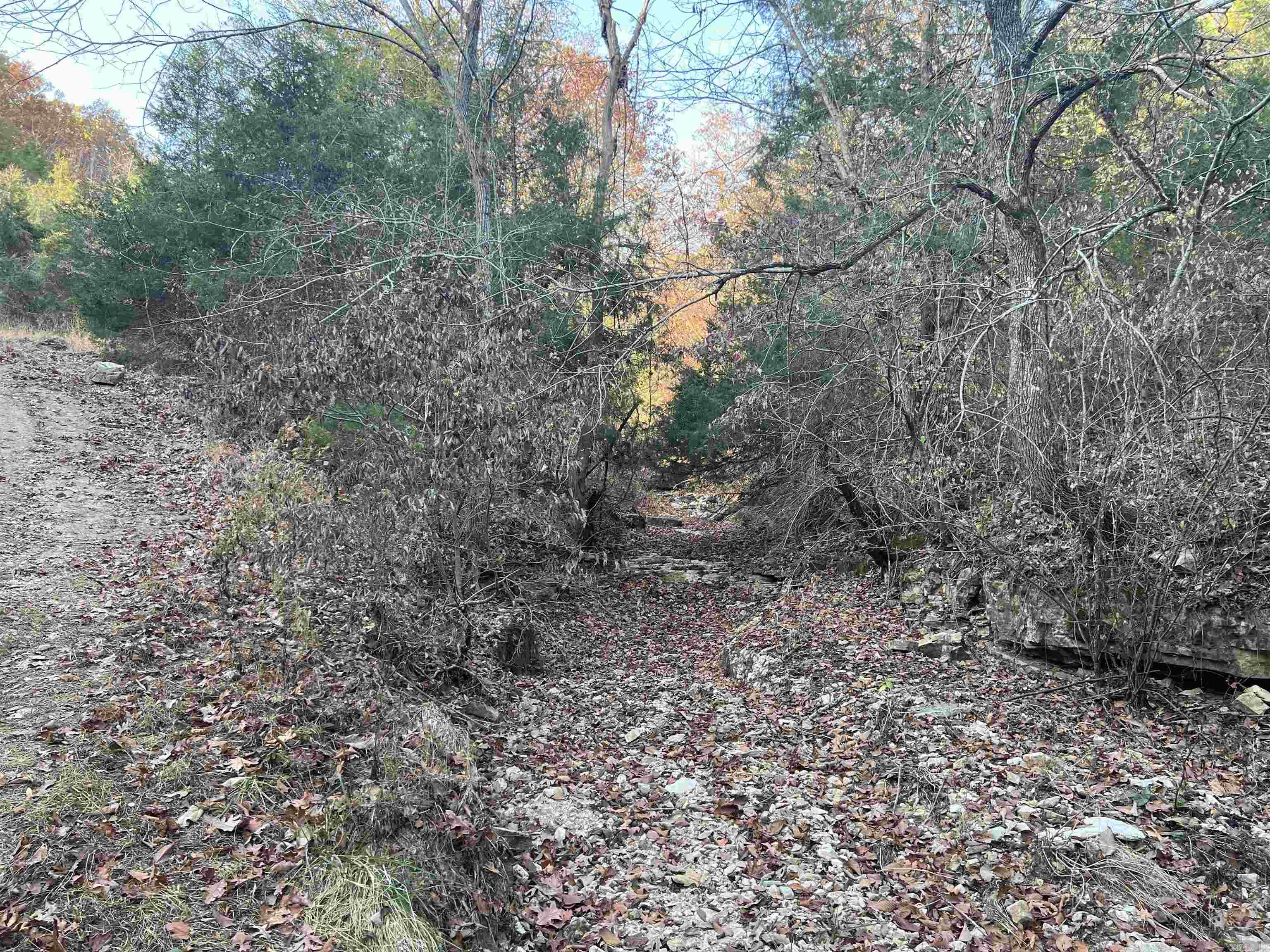 17.03 Ac Jackson Ridge Property Photo 12