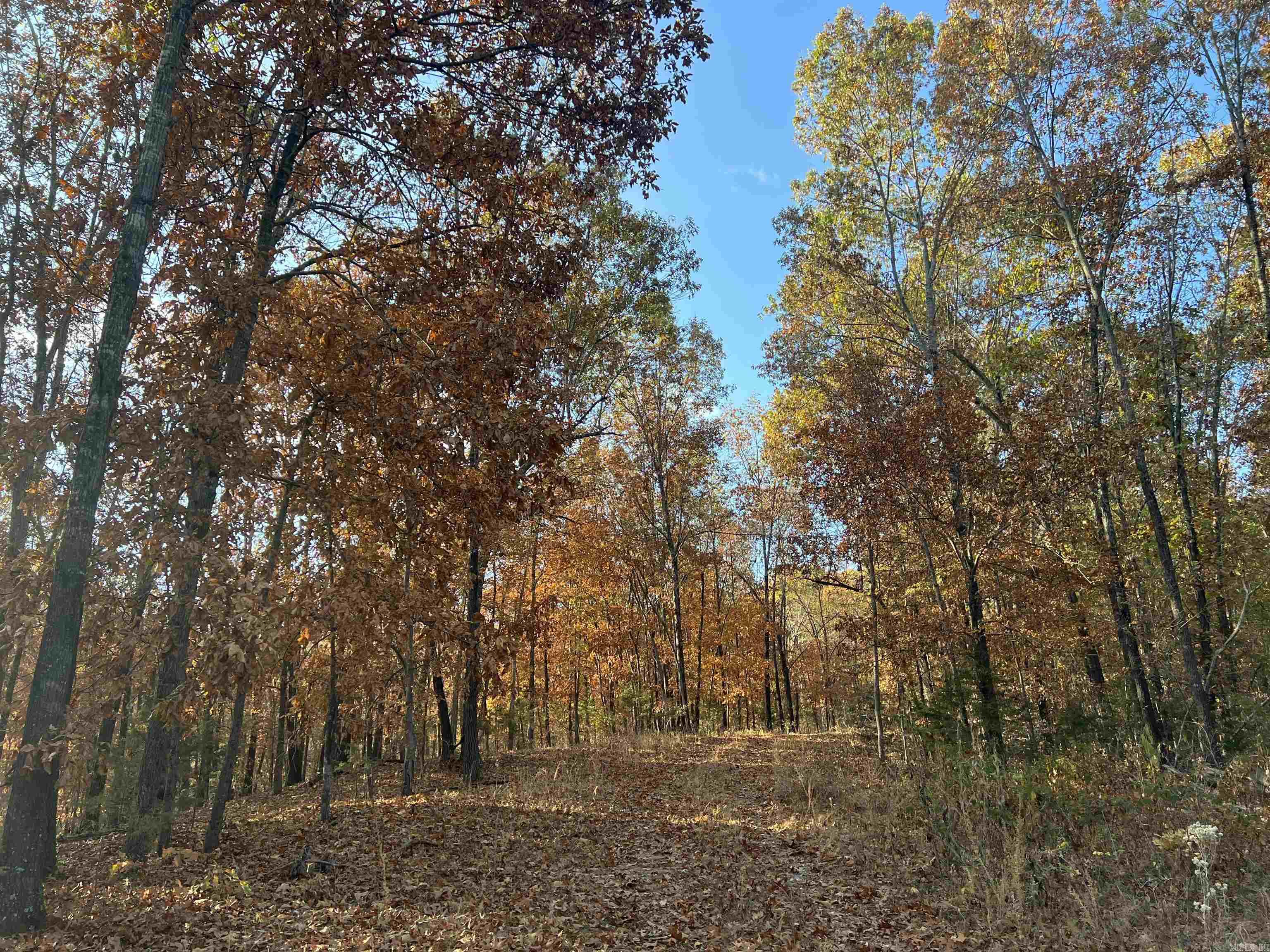 17.03 Ac Jackson Ridge Property Photo 14