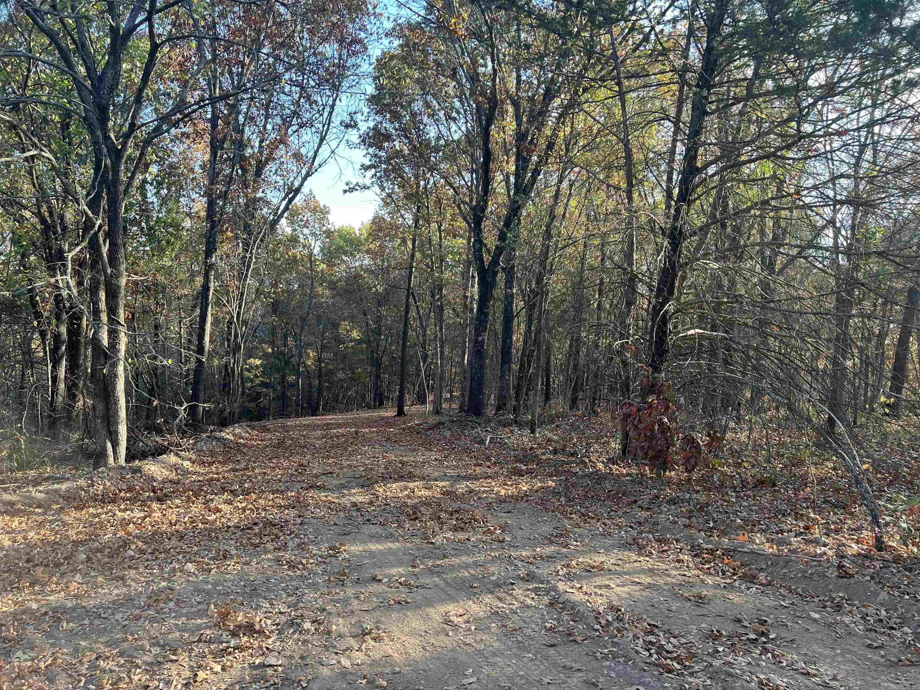 17.03 Ac Jackson Ridge Property Photo 15