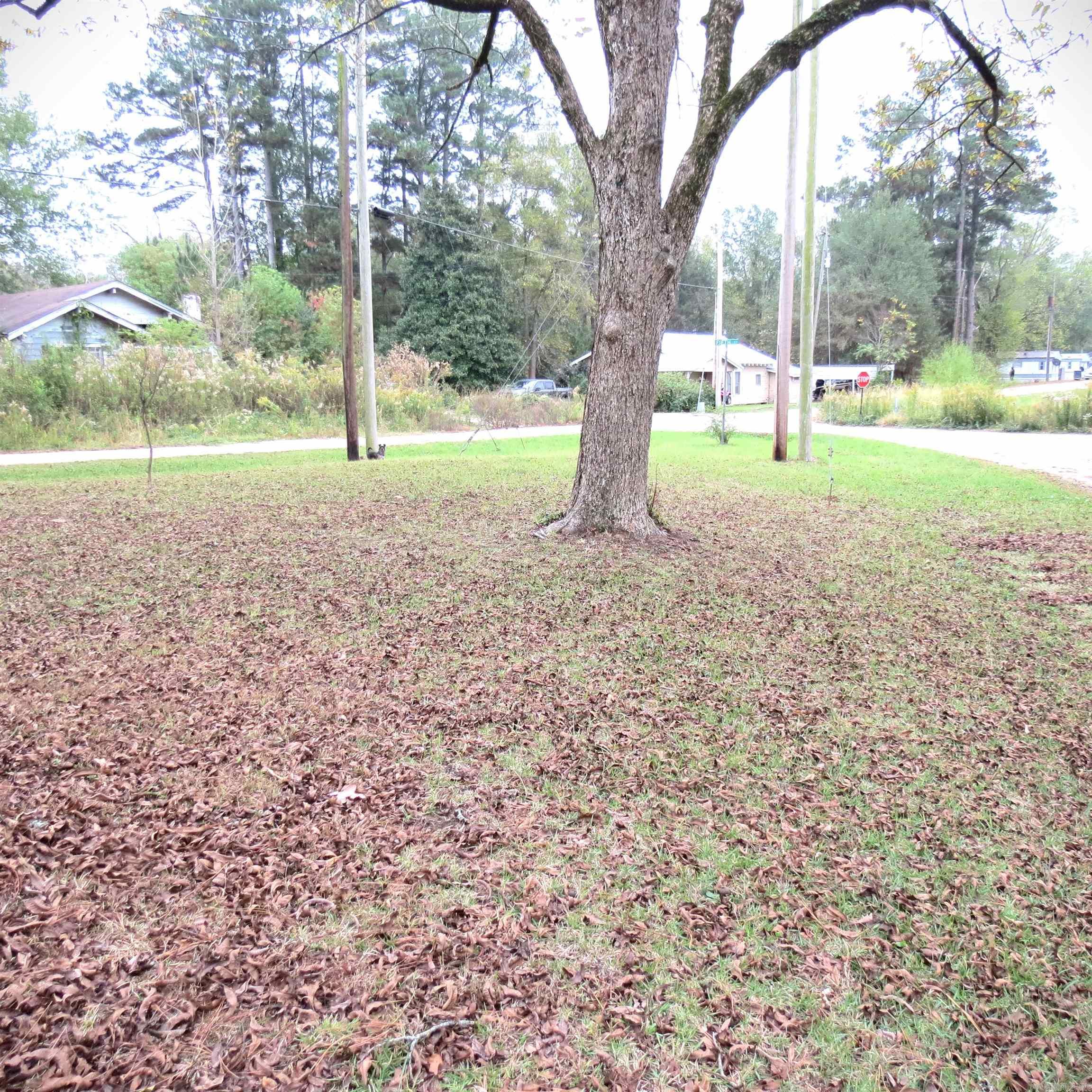 404 Jasmine Street Property Photo 8