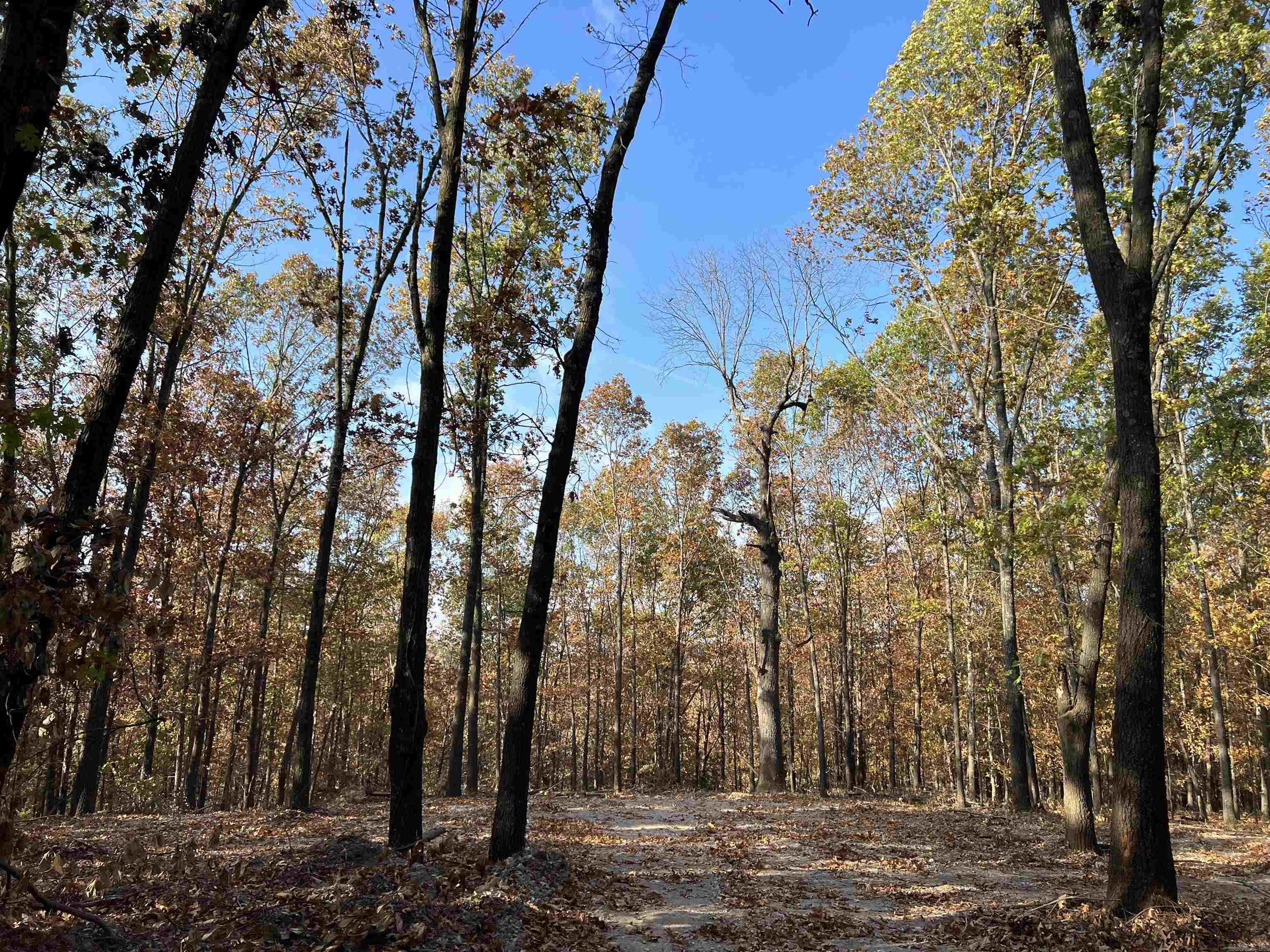 16.55 Ac Jackson Ridge Property Photo 1