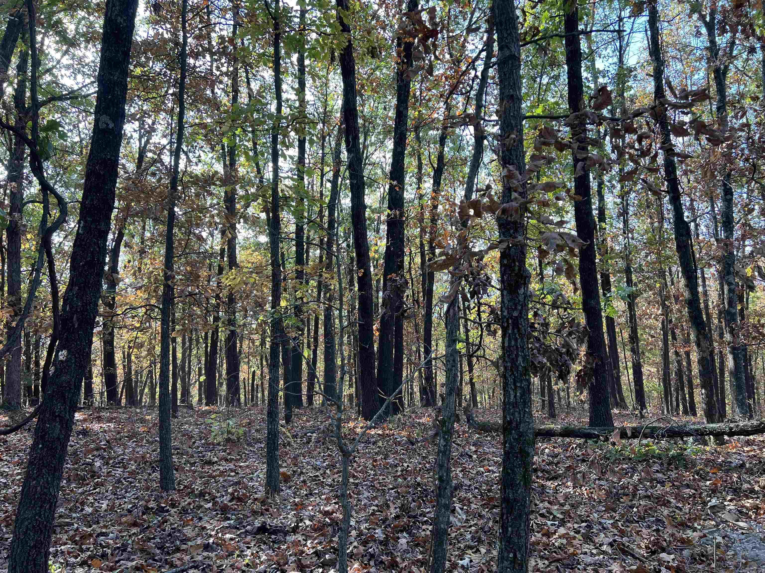 16.55 Ac Jackson Ridge Property Photo 2