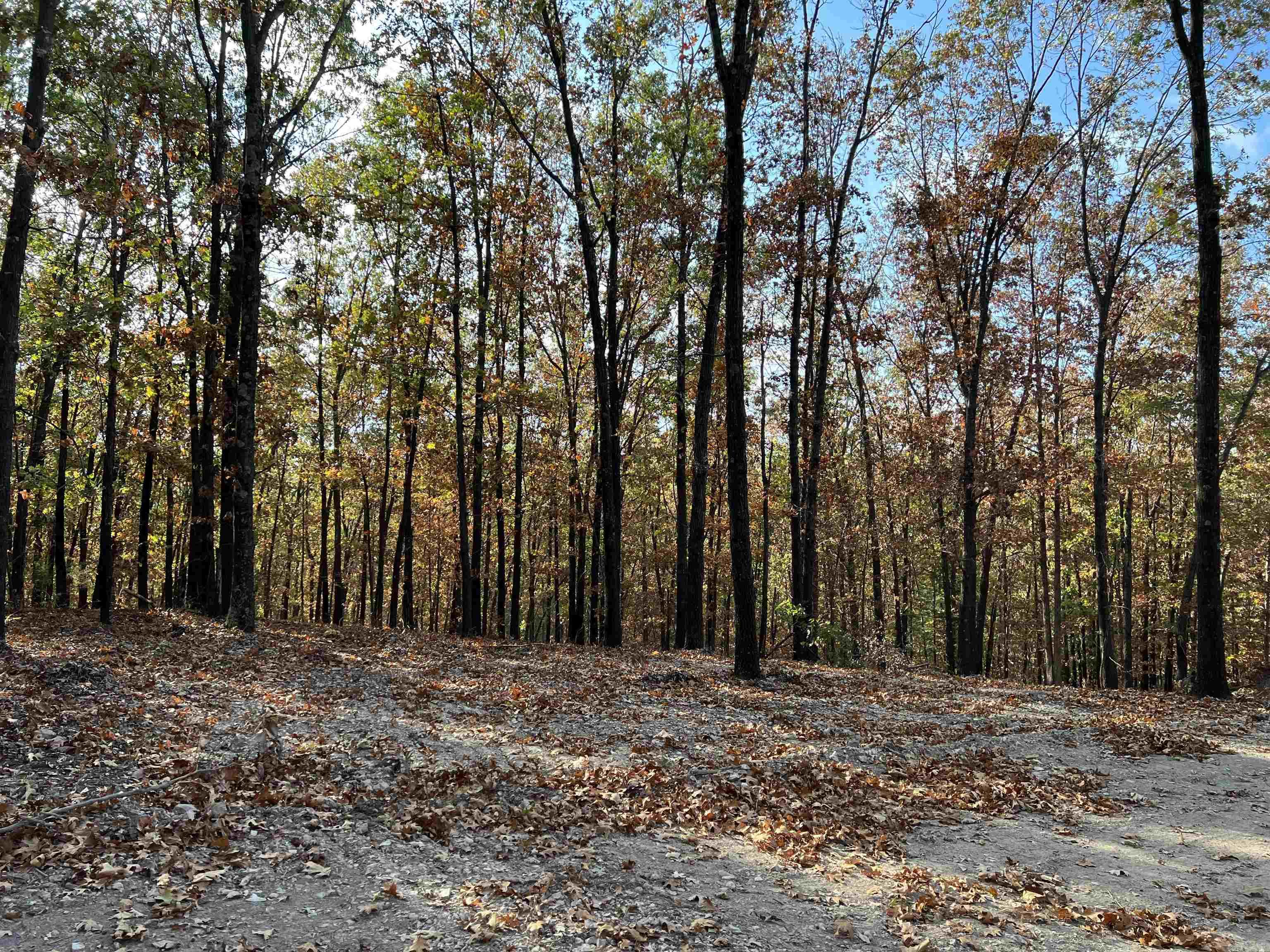 16.55 Ac Jackson Ridge Property Photo 3