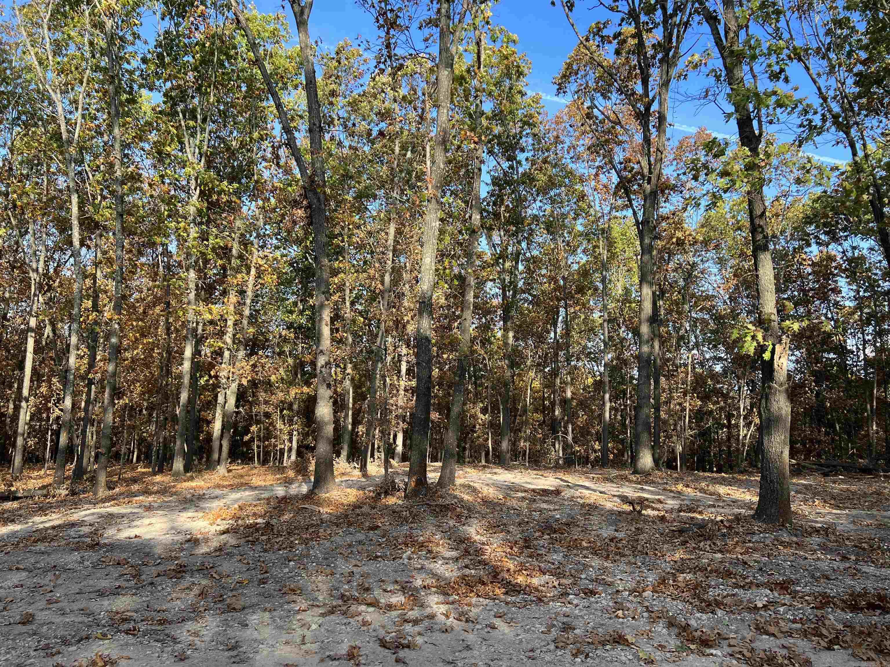 16.55 Ac Jackson Ridge Property Photo 5