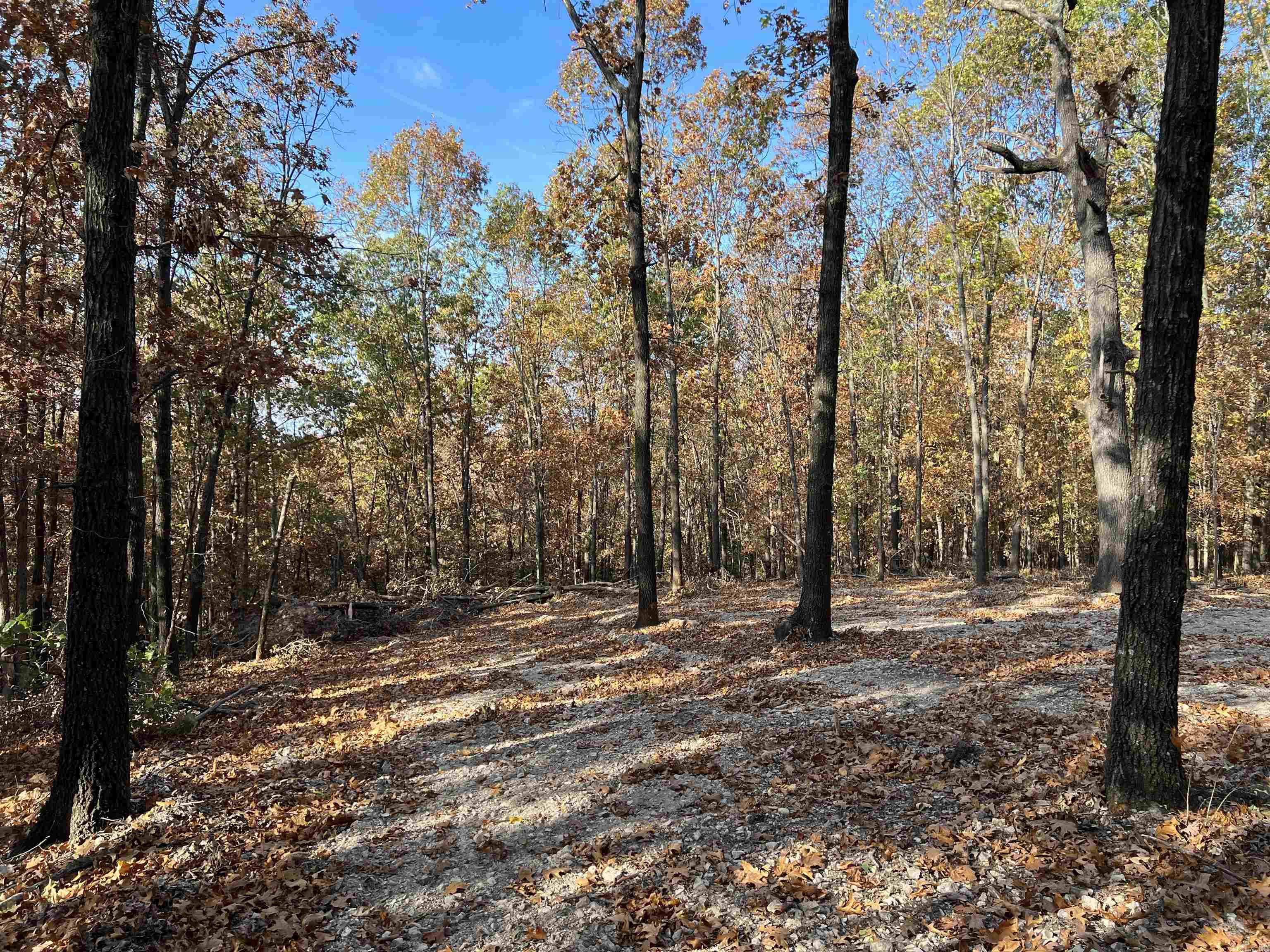 16.55 Ac Jackson Ridge Property Photo 8
