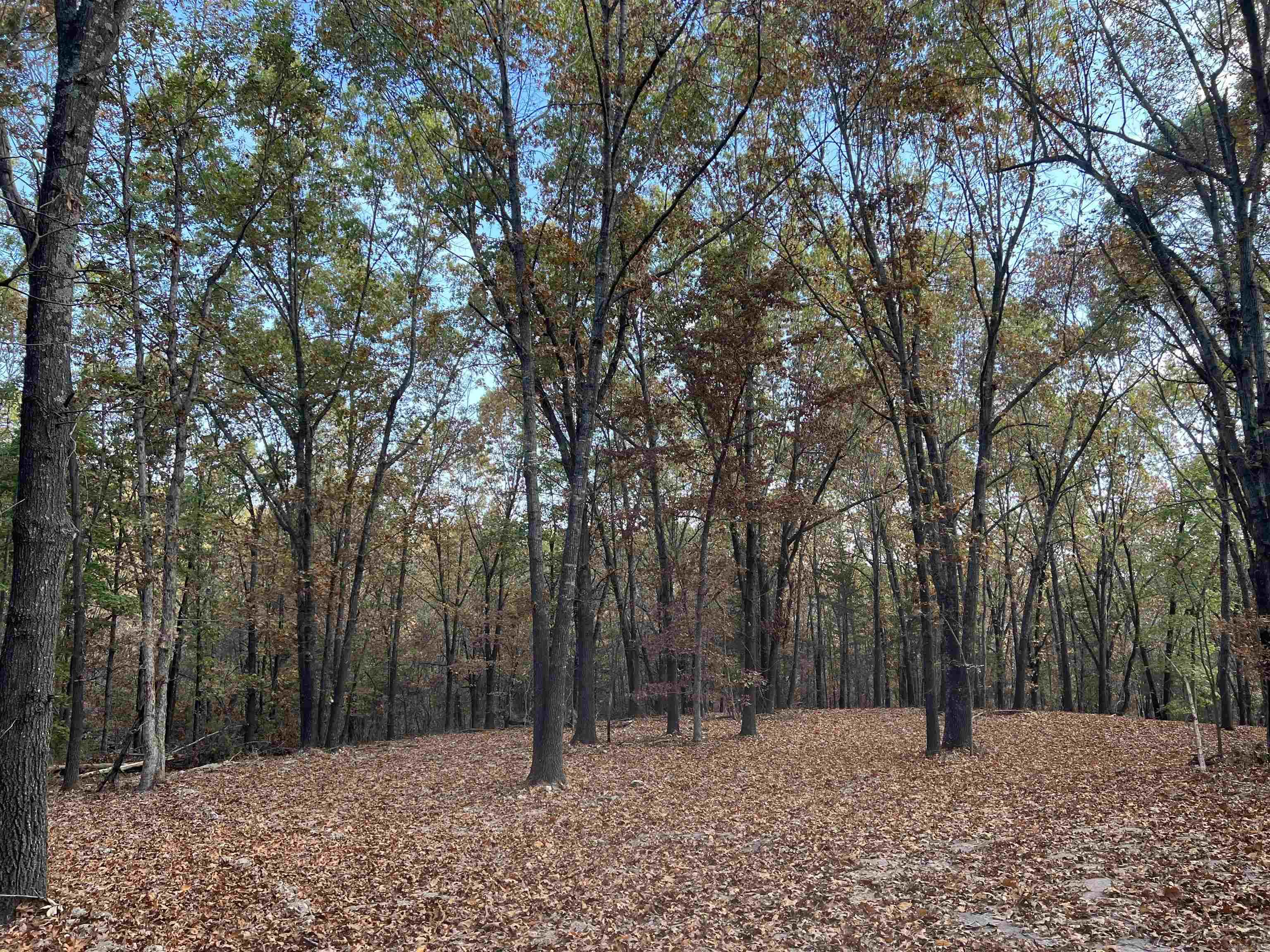 16.33 AC Jackson Ridge Property Photo 1
