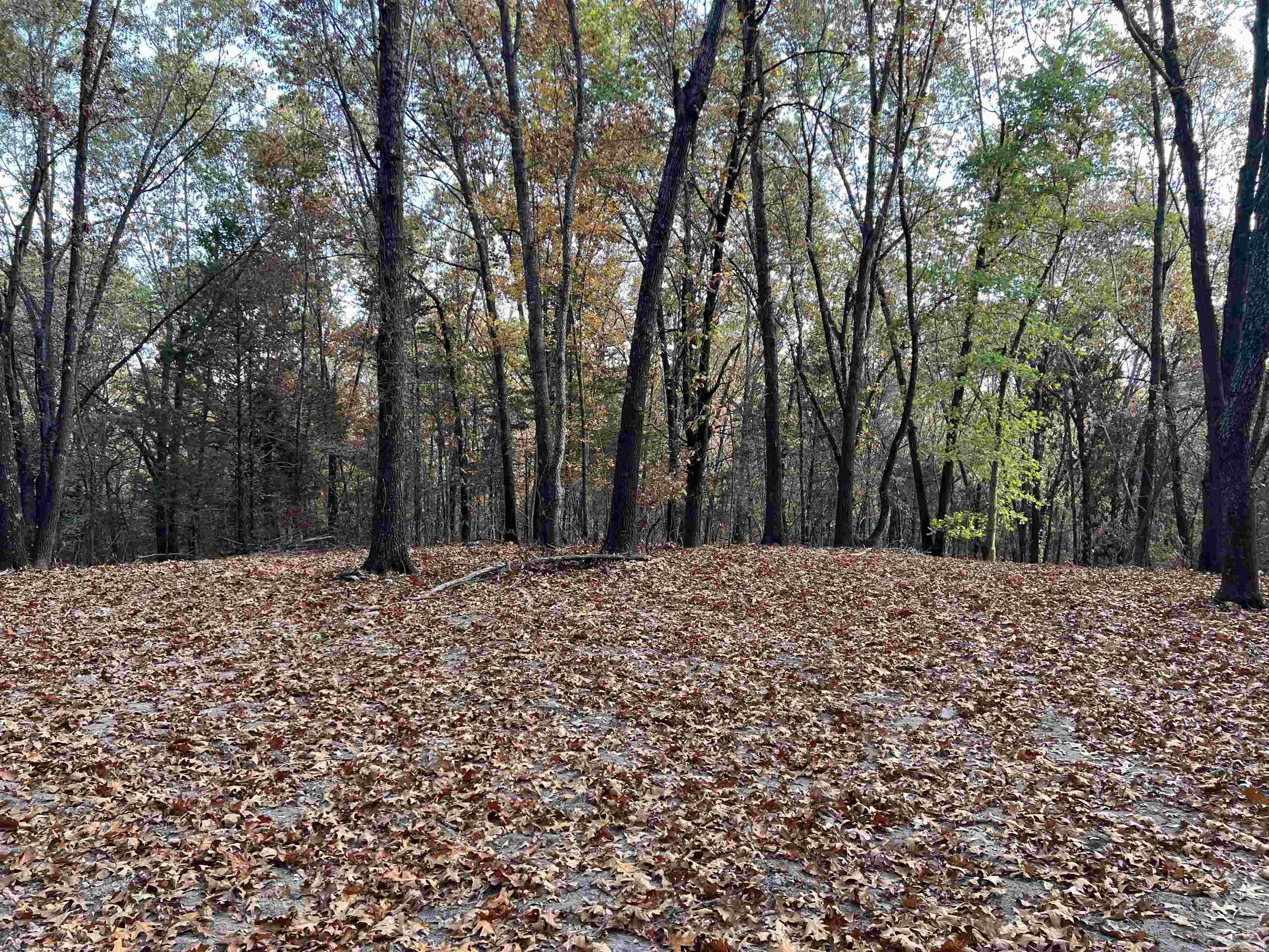 16.33 Ac Jackson Ridge Property Photo 2
