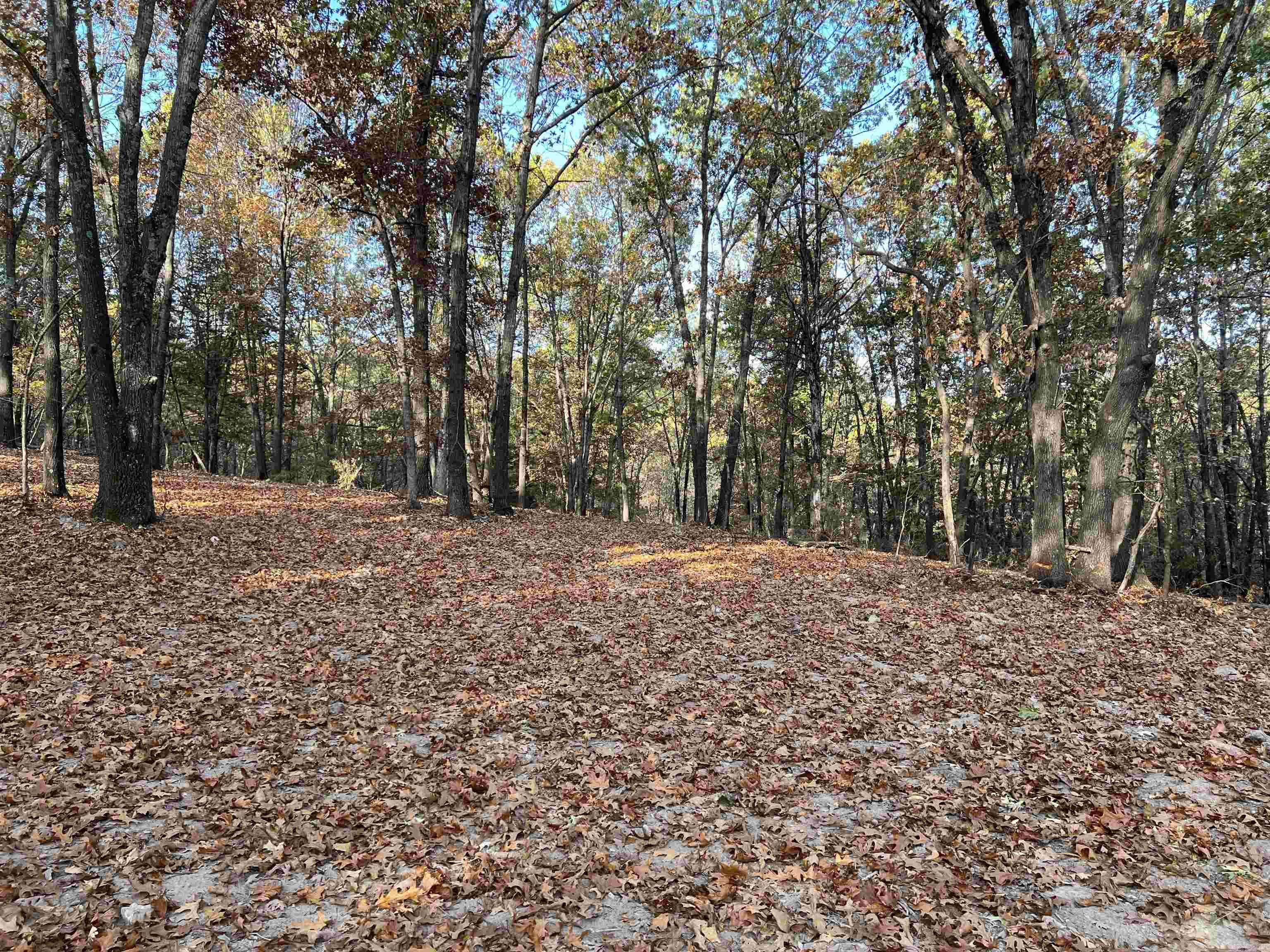 16.33 Ac Jackson Ridge Property Photo 3