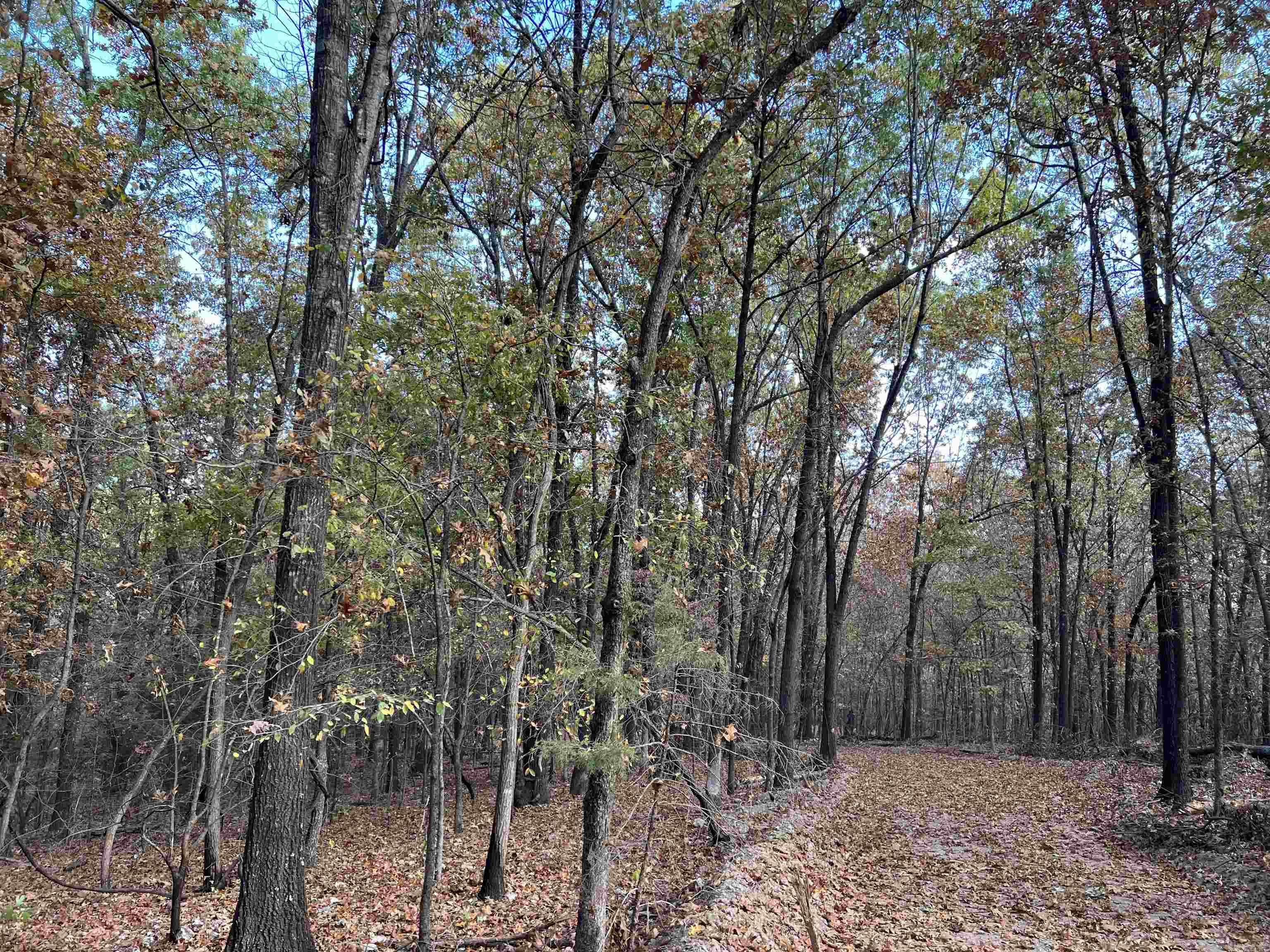 16.33 Ac Jackson Ridge Property Photo 4