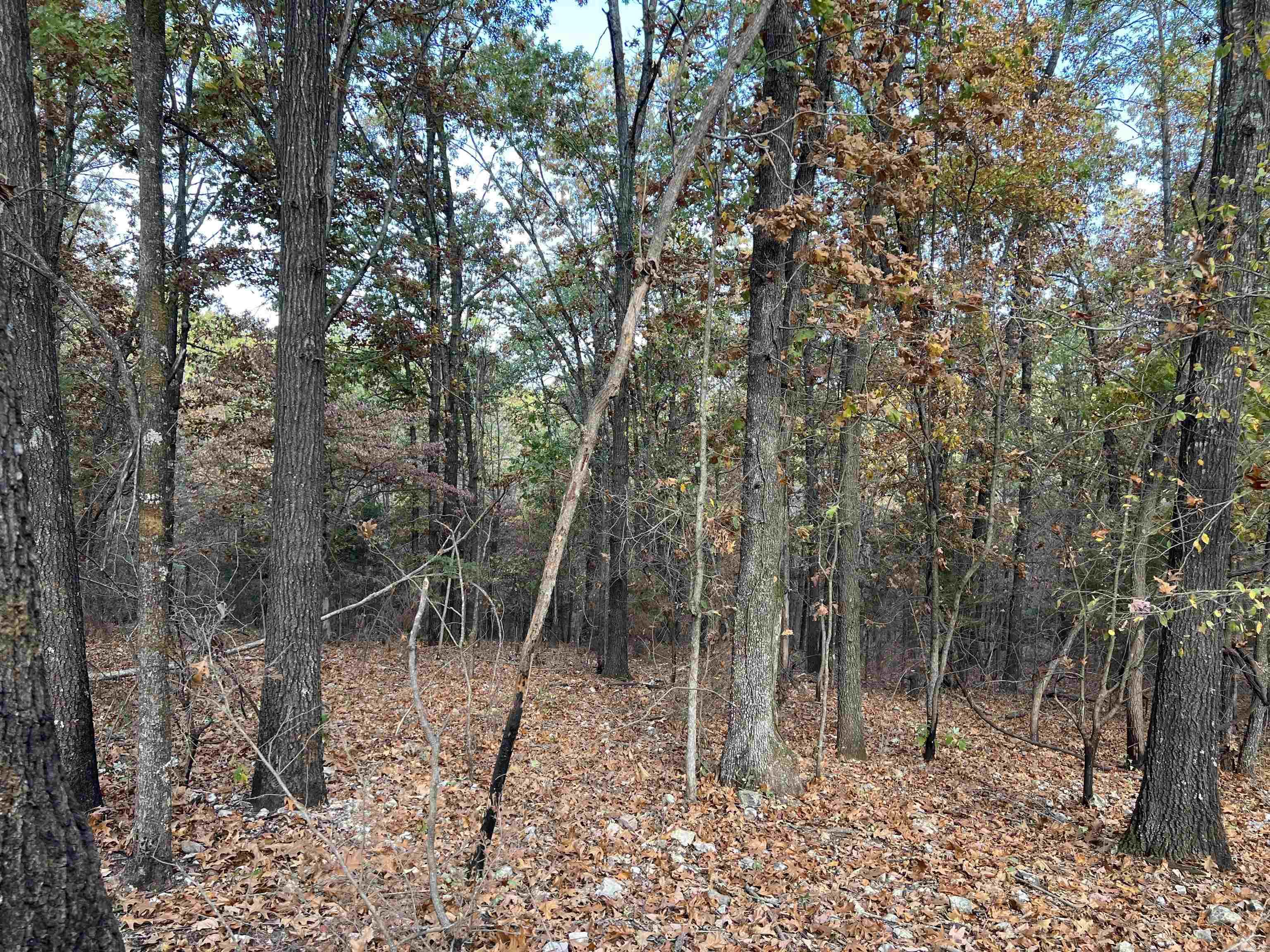 16.33 Ac Jackson Ridge Property Photo 5