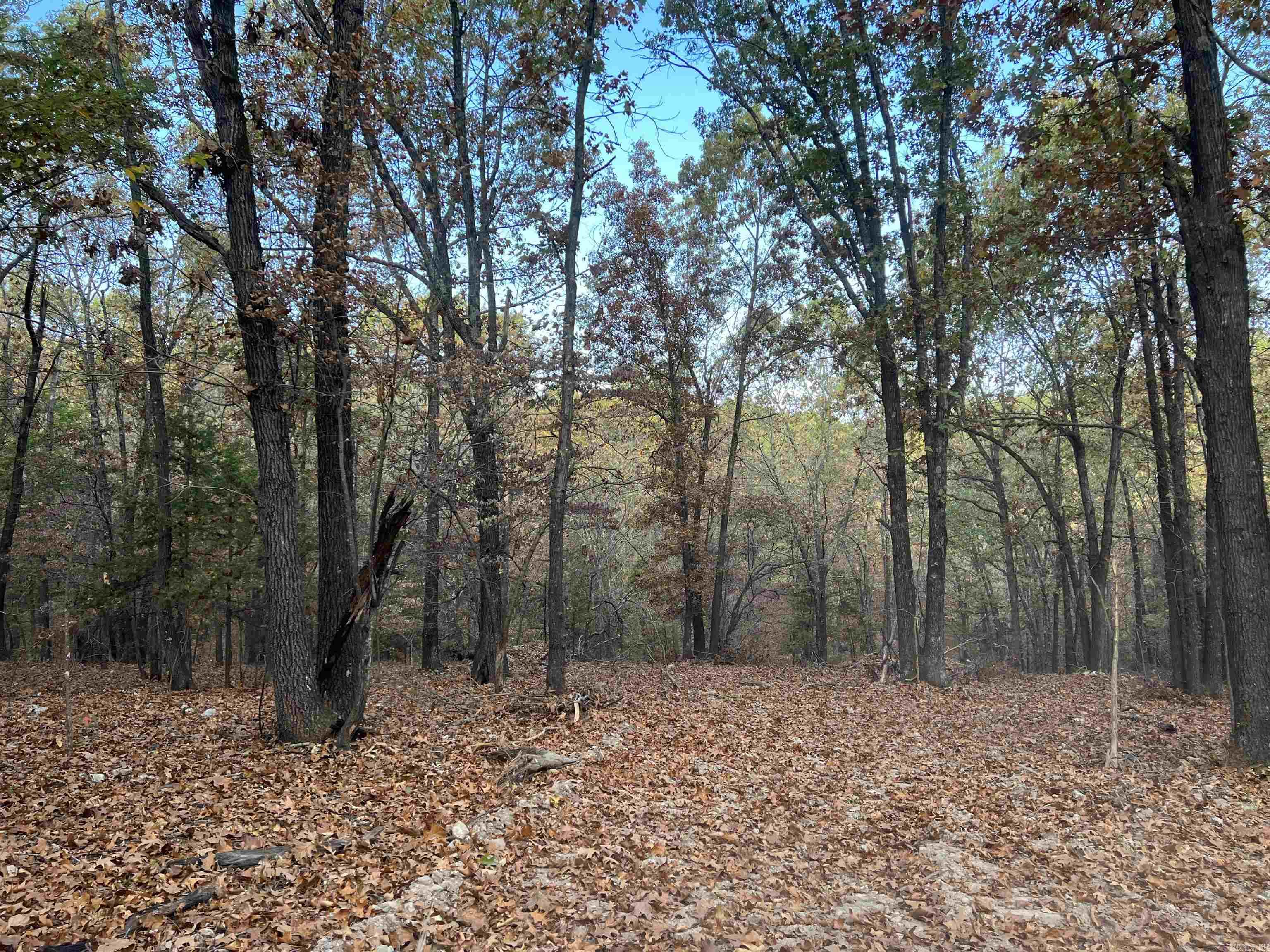 16.33 Ac Jackson Ridge Property Photo 6