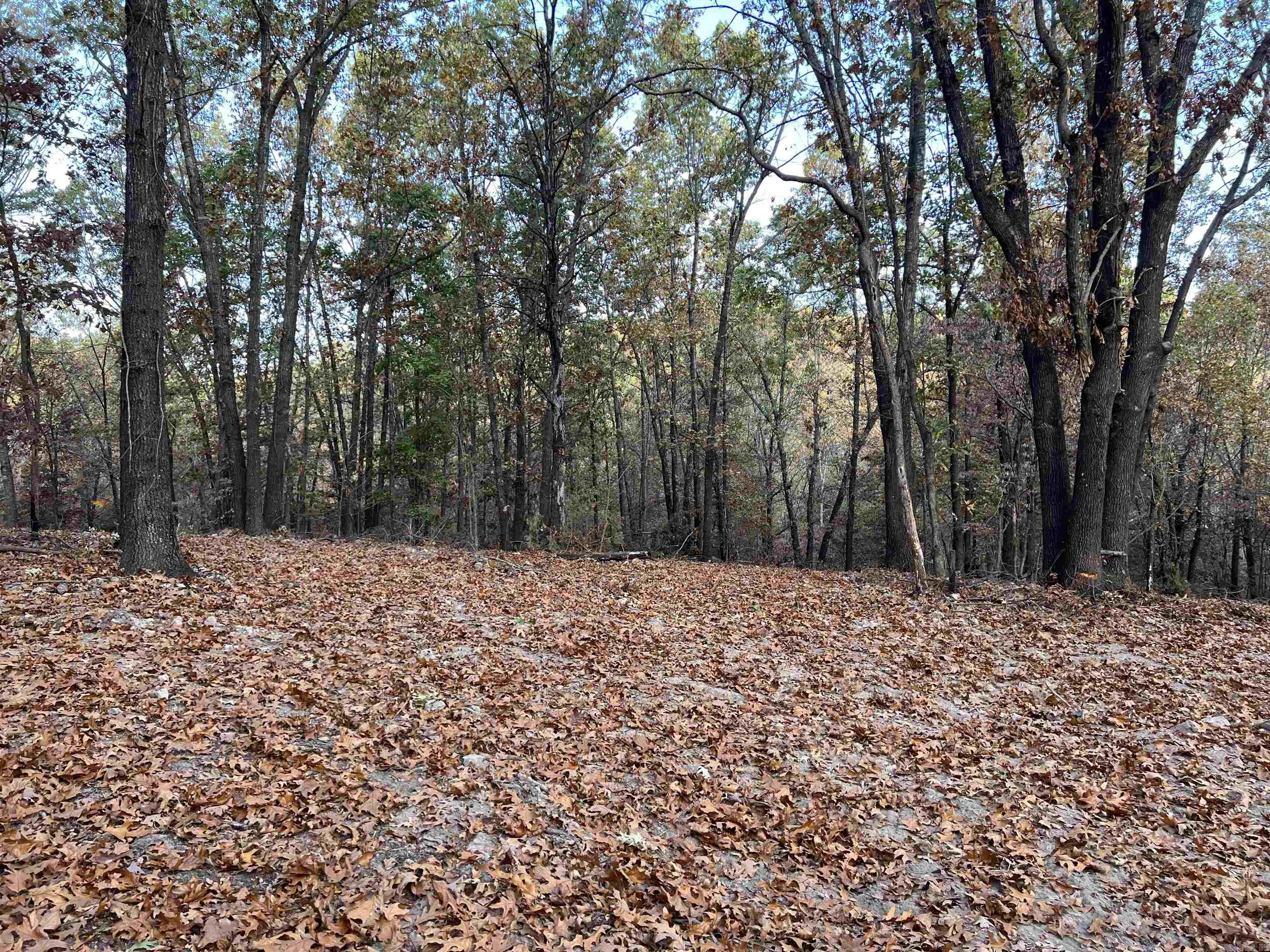 16.33 Ac Jackson Ridge Property Photo 8