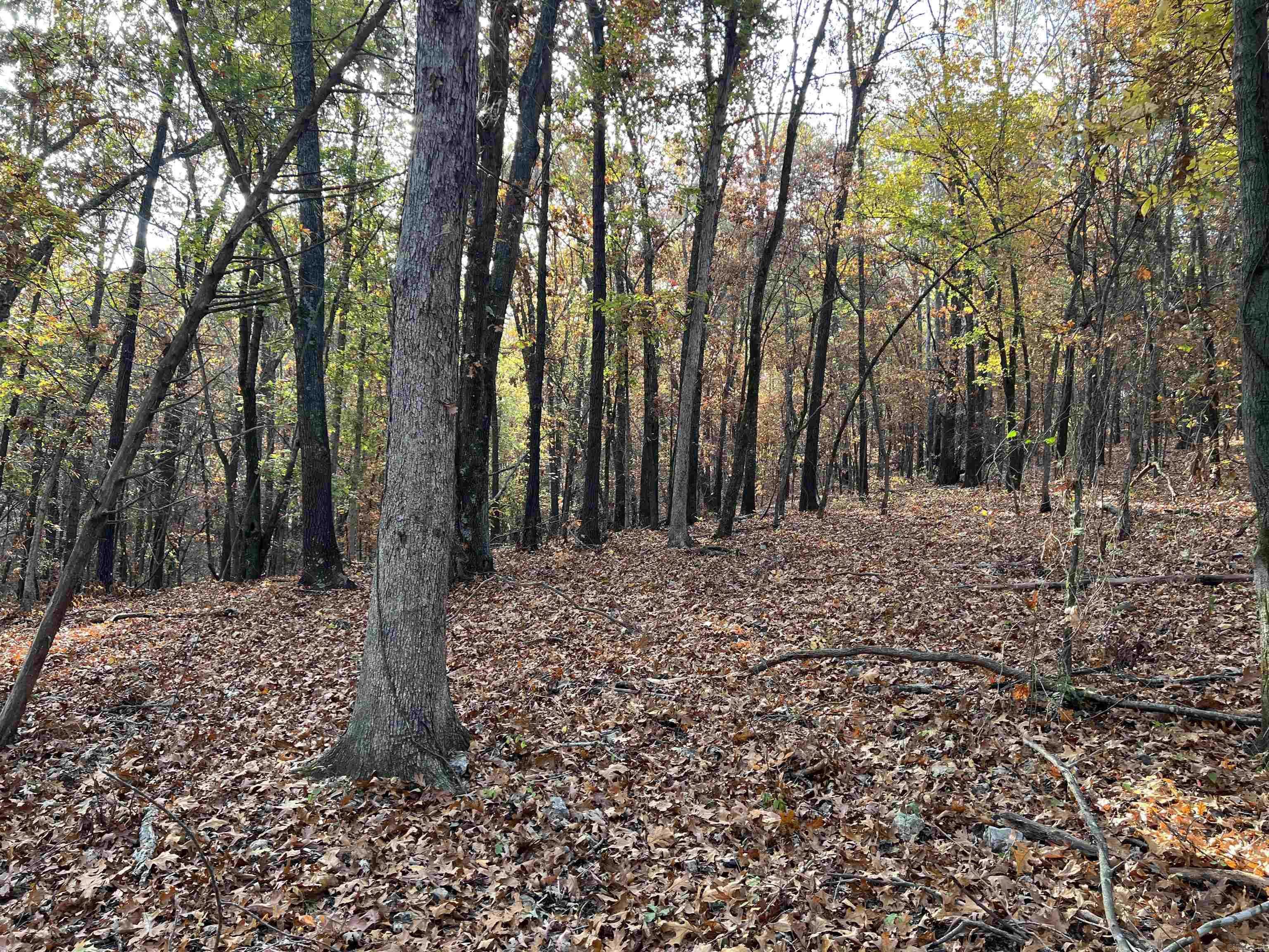 16.33 Ac Jackson Ridge Property Photo 9