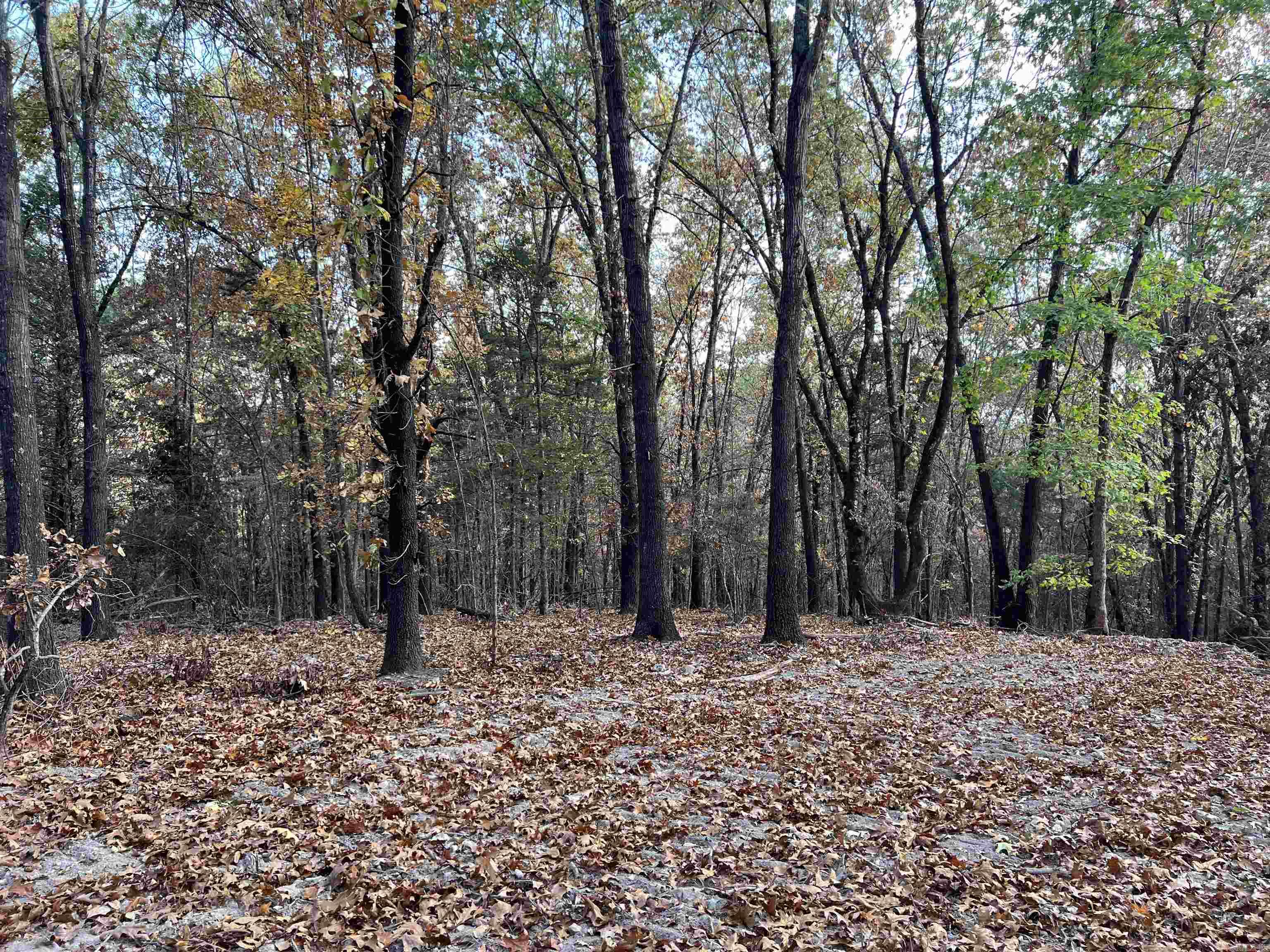 16.33 Ac Jackson Ridge Property Photo 10