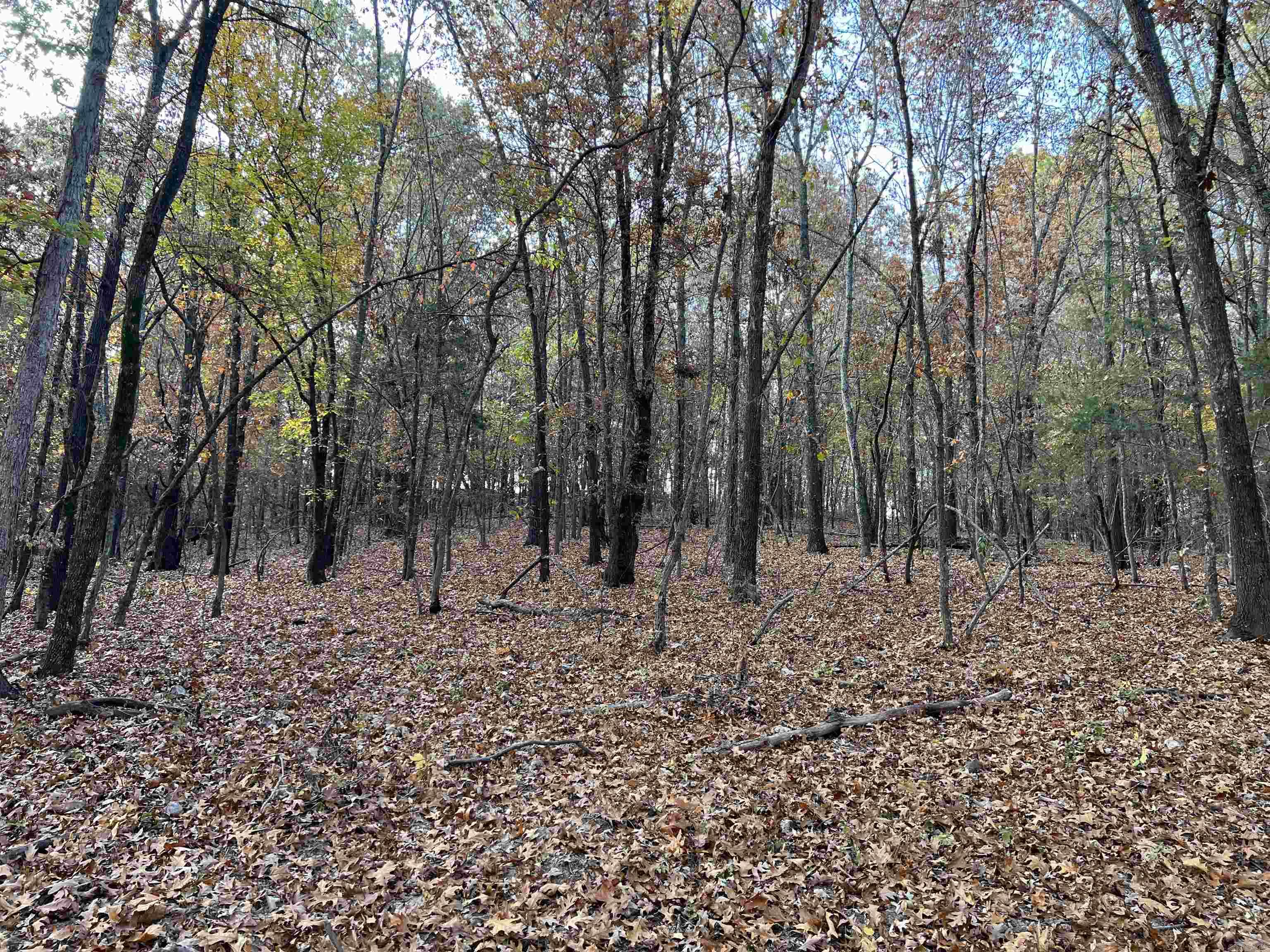 16.33 Ac Jackson Ridge Property Photo 11
