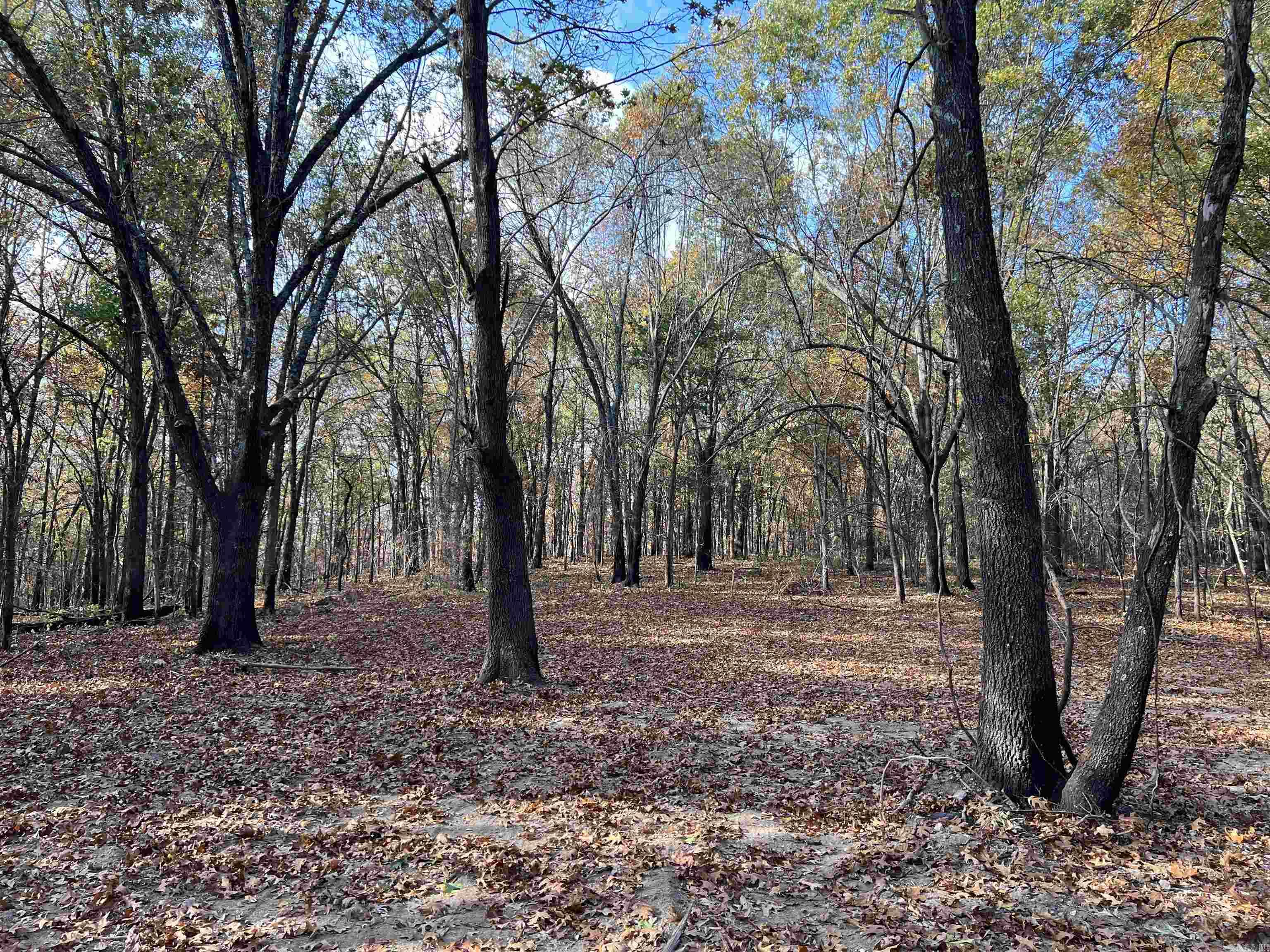 10.61 AC Jackson Ridge Property Photo 1