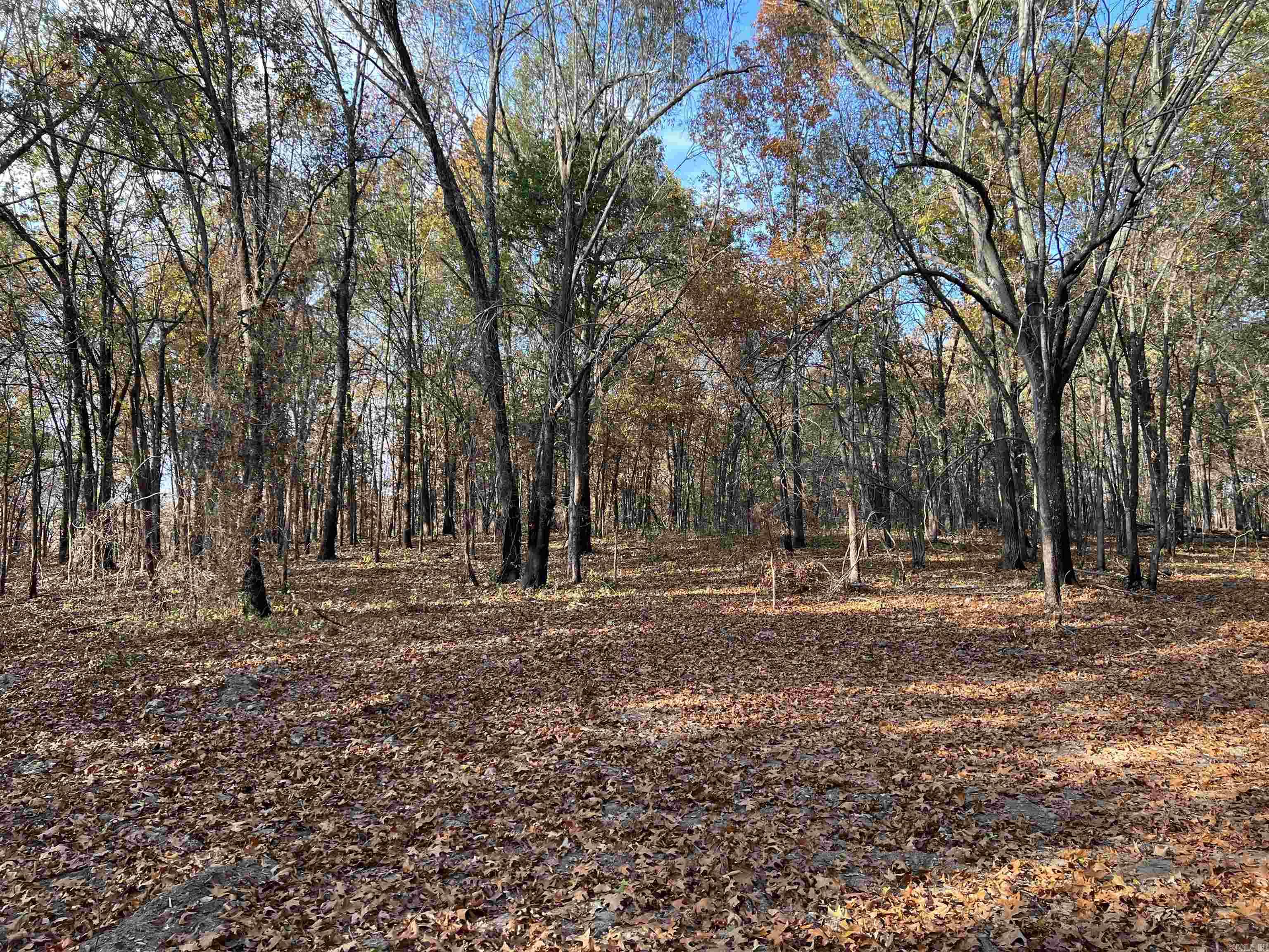 10.61 Ac Jackson Ridge Property Photo 2