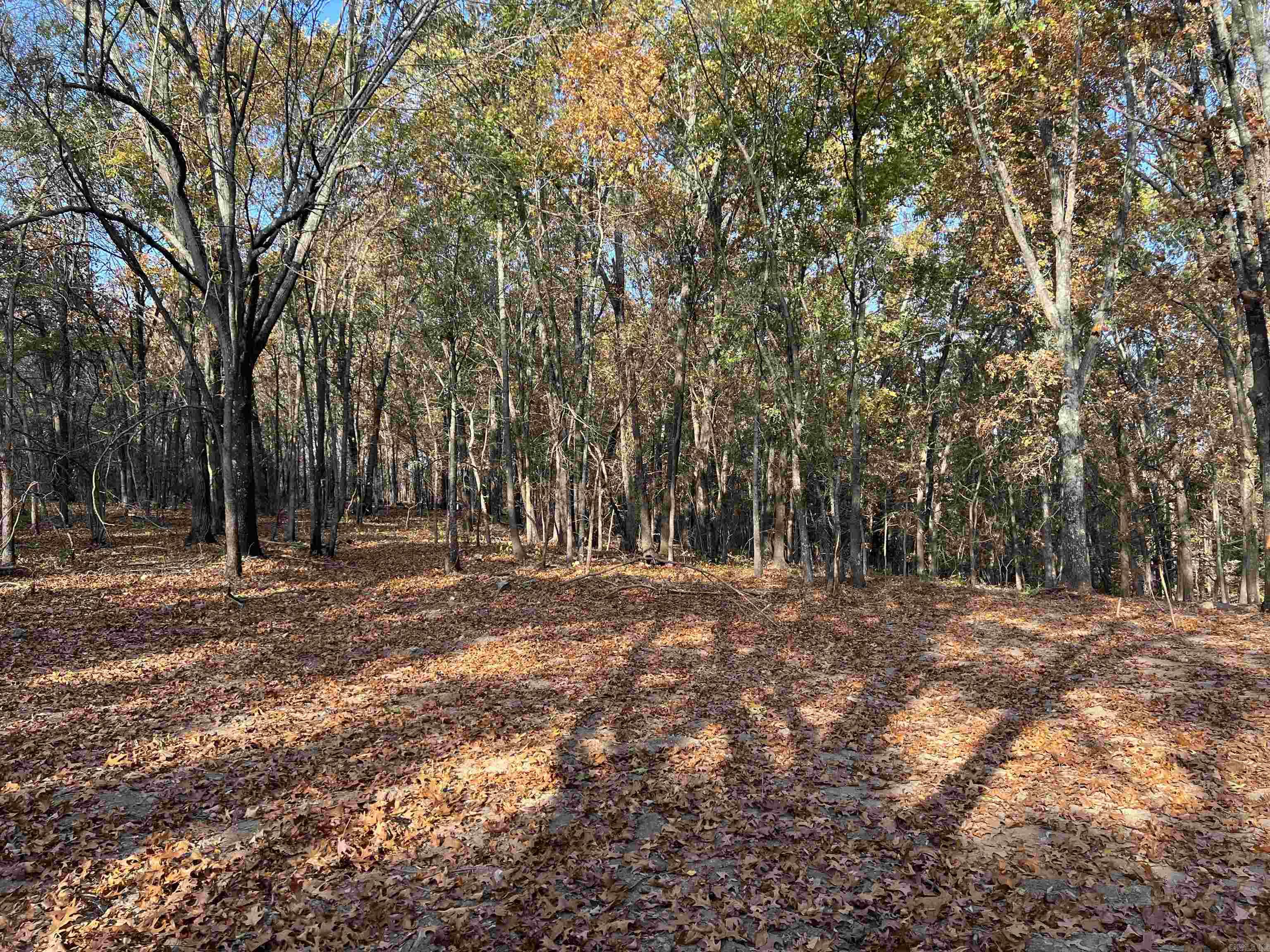 10.61 Ac Jackson Ridge Property Photo 3