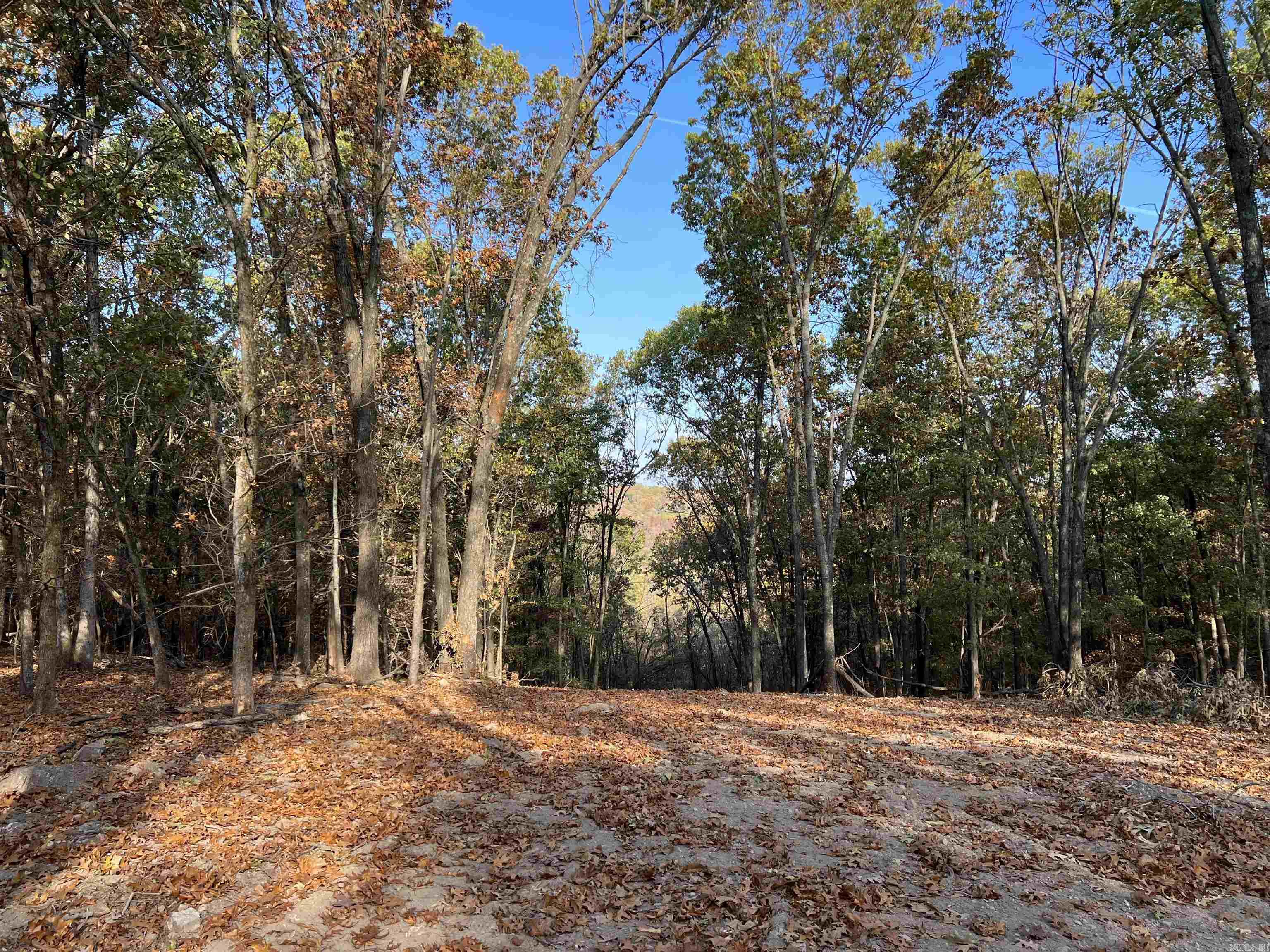 10.61 Ac Jackson Ridge Property Photo 4