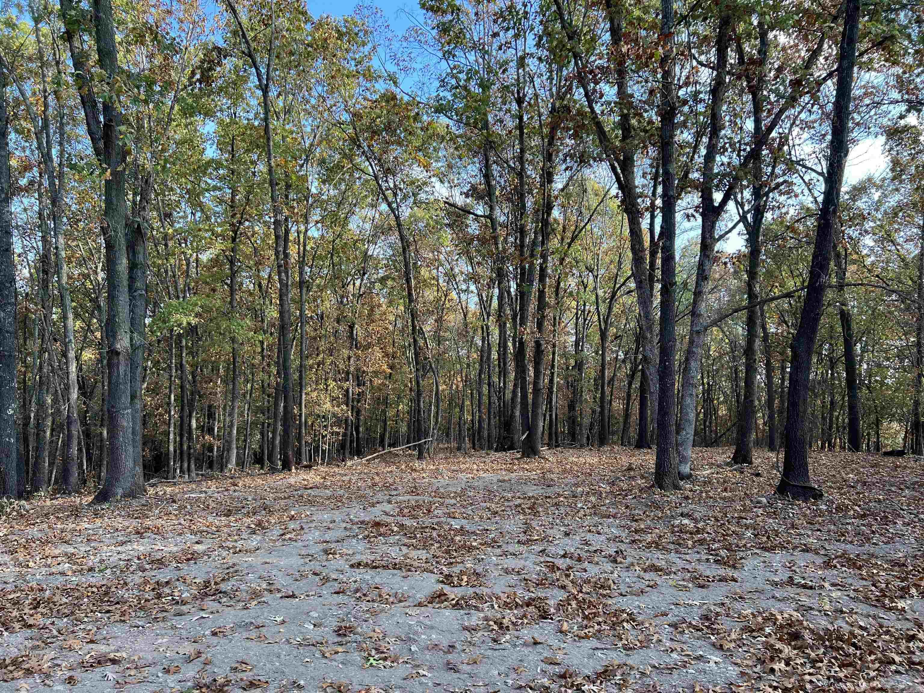 10.61 Ac Jackson Ridge Property Photo 5