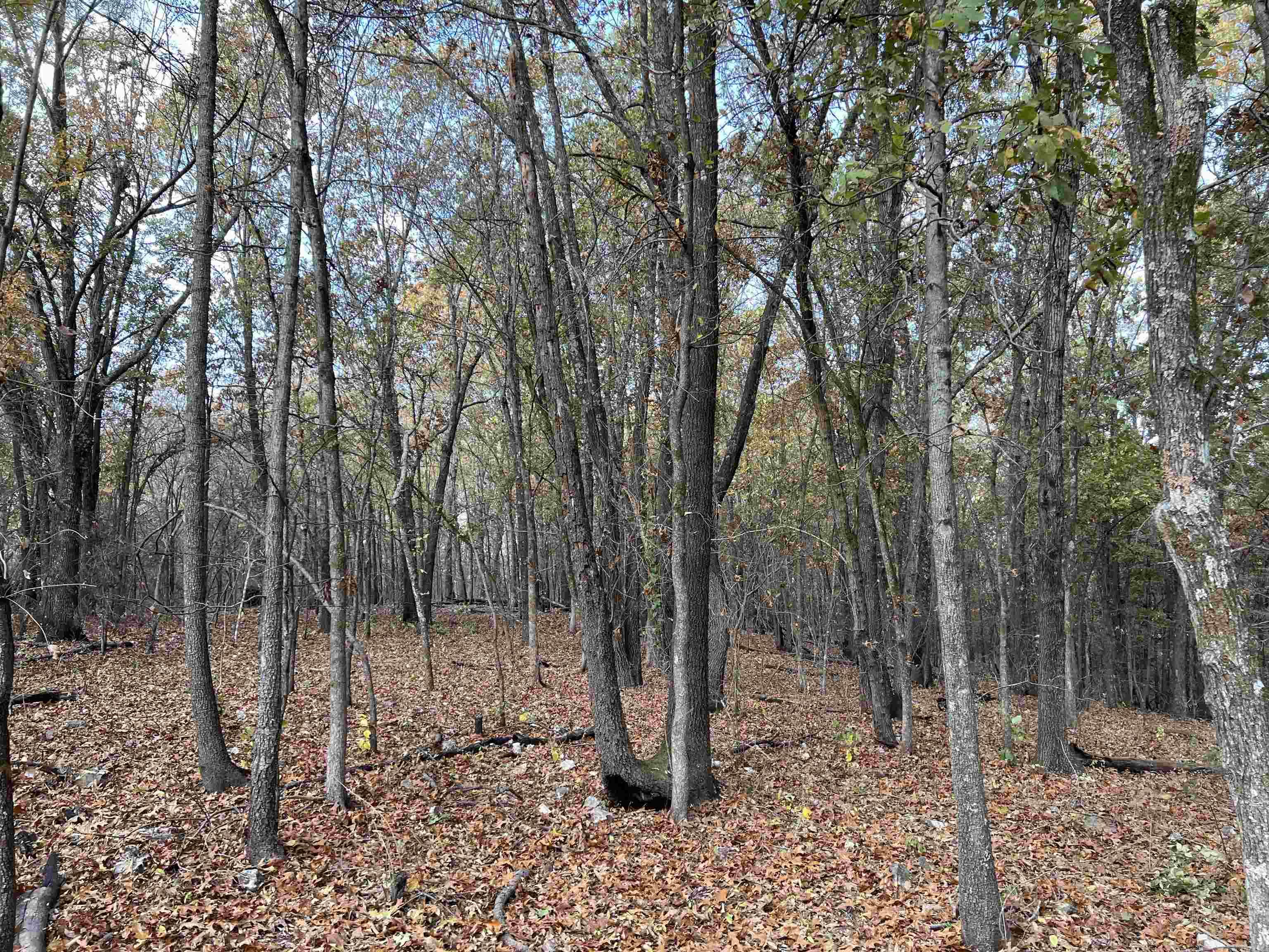 10.61 Ac Jackson Ridge Property Photo 6