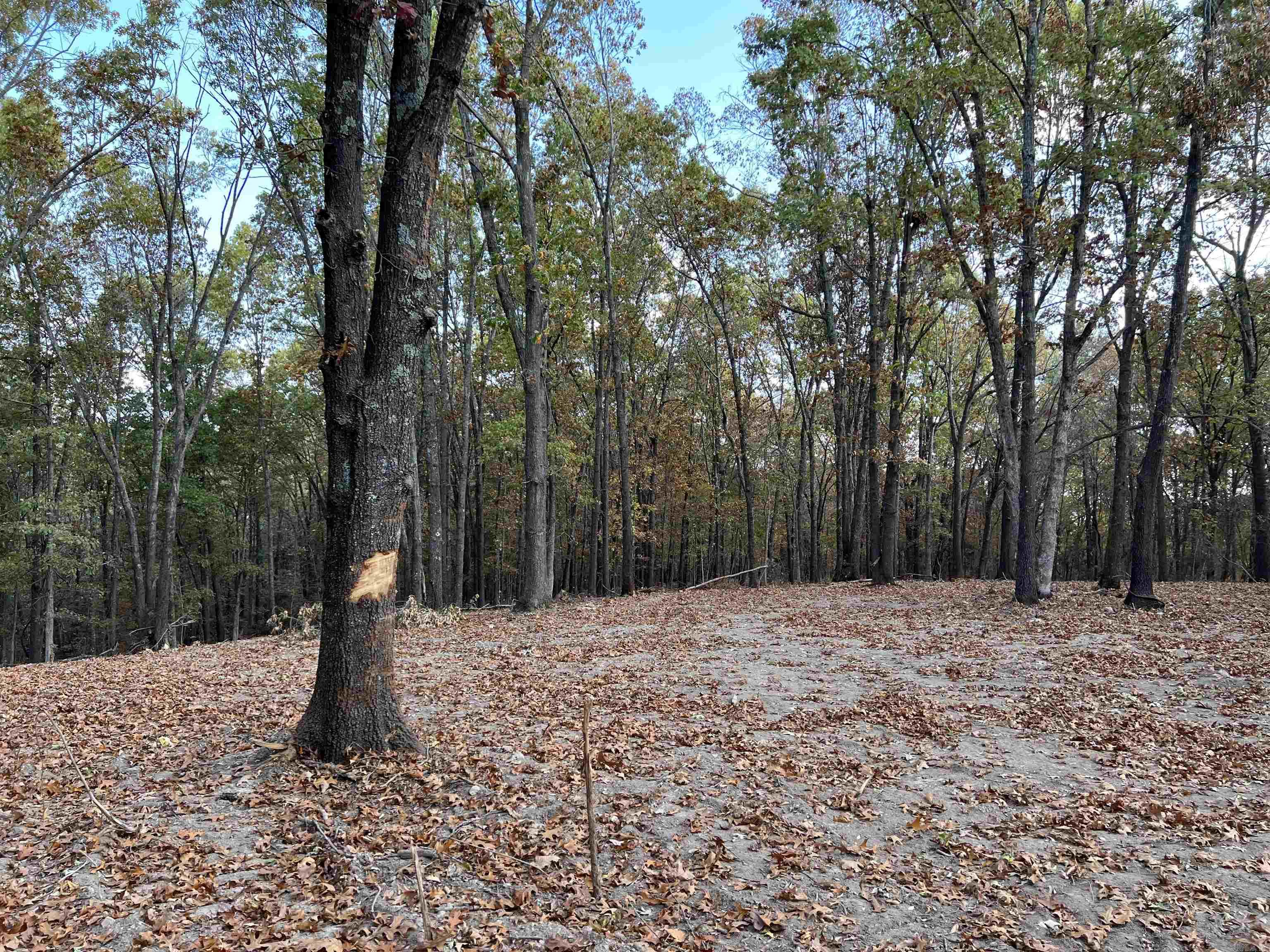 10.61 Ac Jackson Ridge Property Photo 7