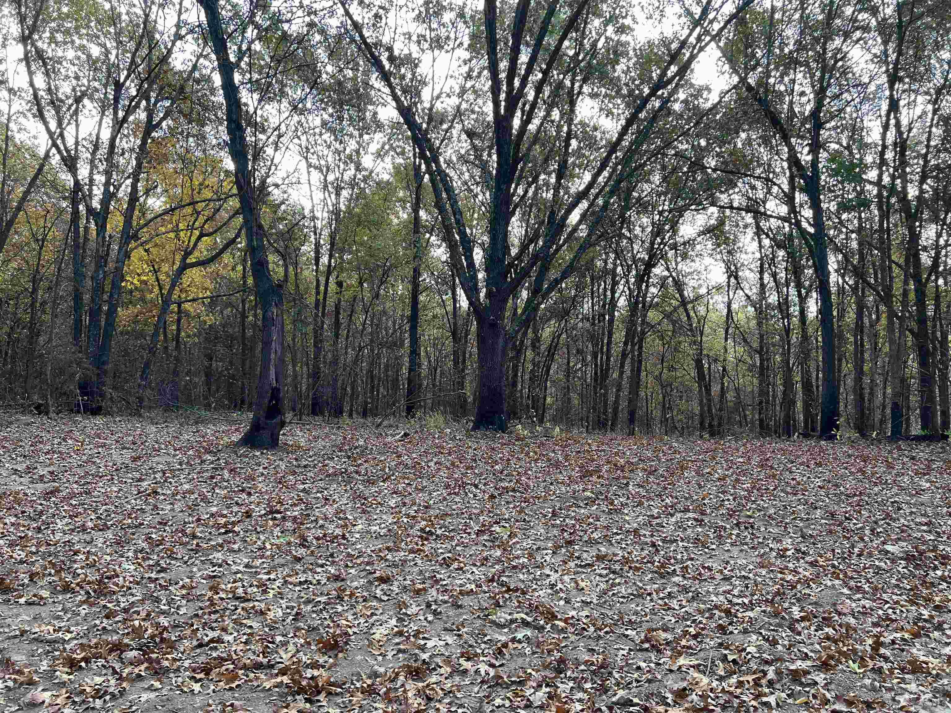 10.61 Ac Jackson Ridge Property Photo 8