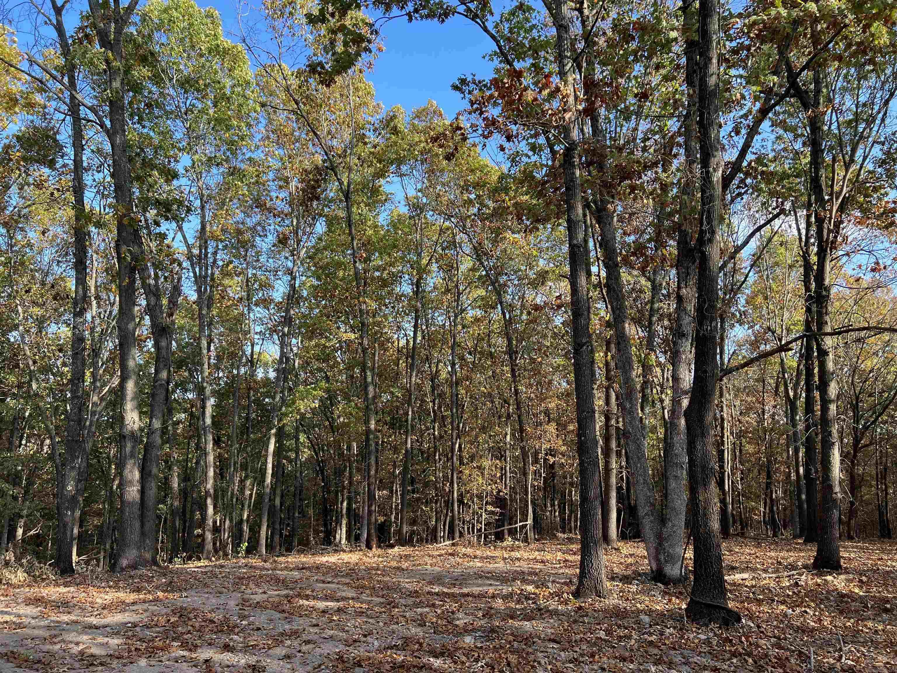 10.61 Ac Jackson Ridge Property Photo 9