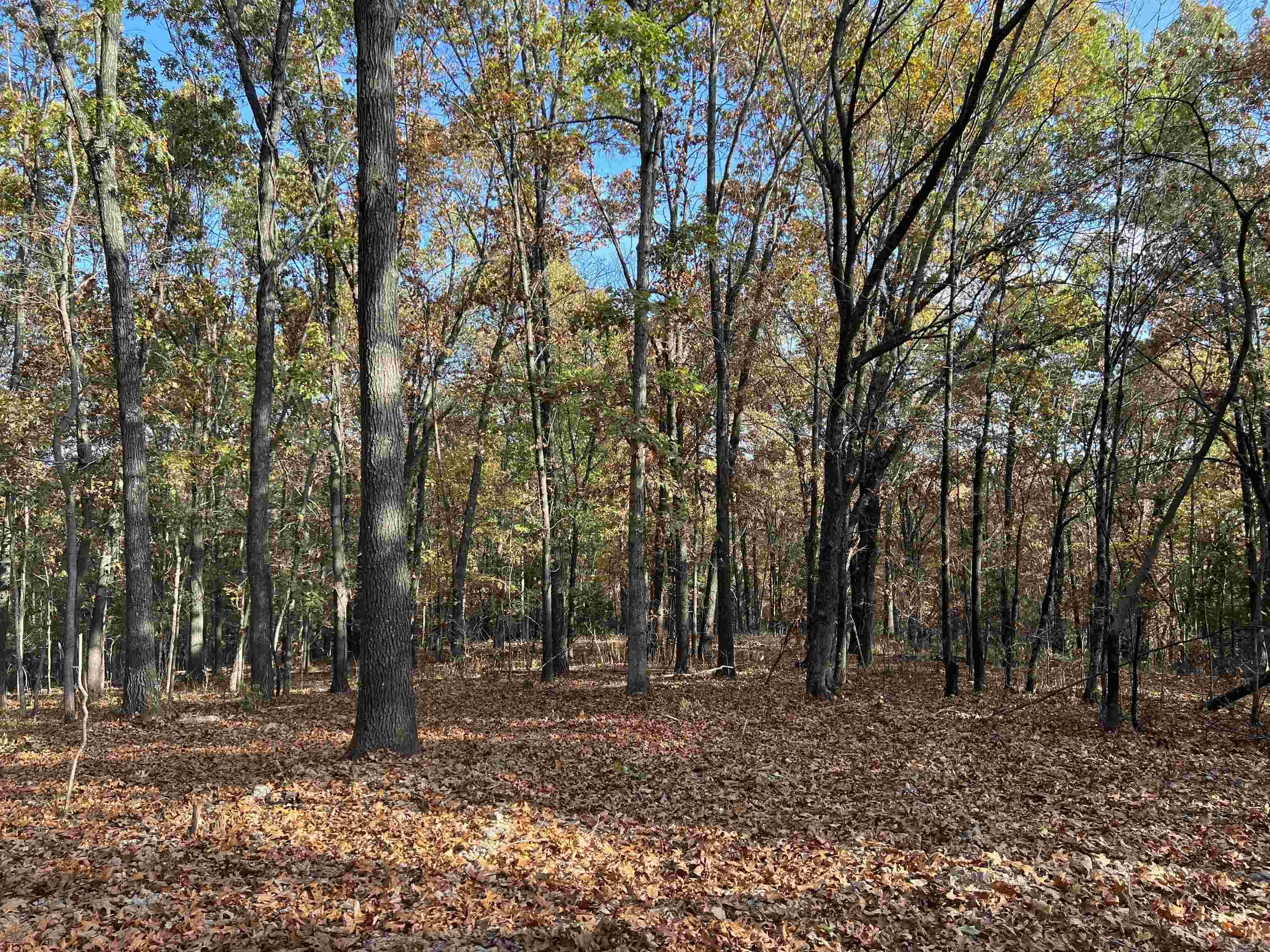 10.61 Ac Jackson Ridge Property Photo 10