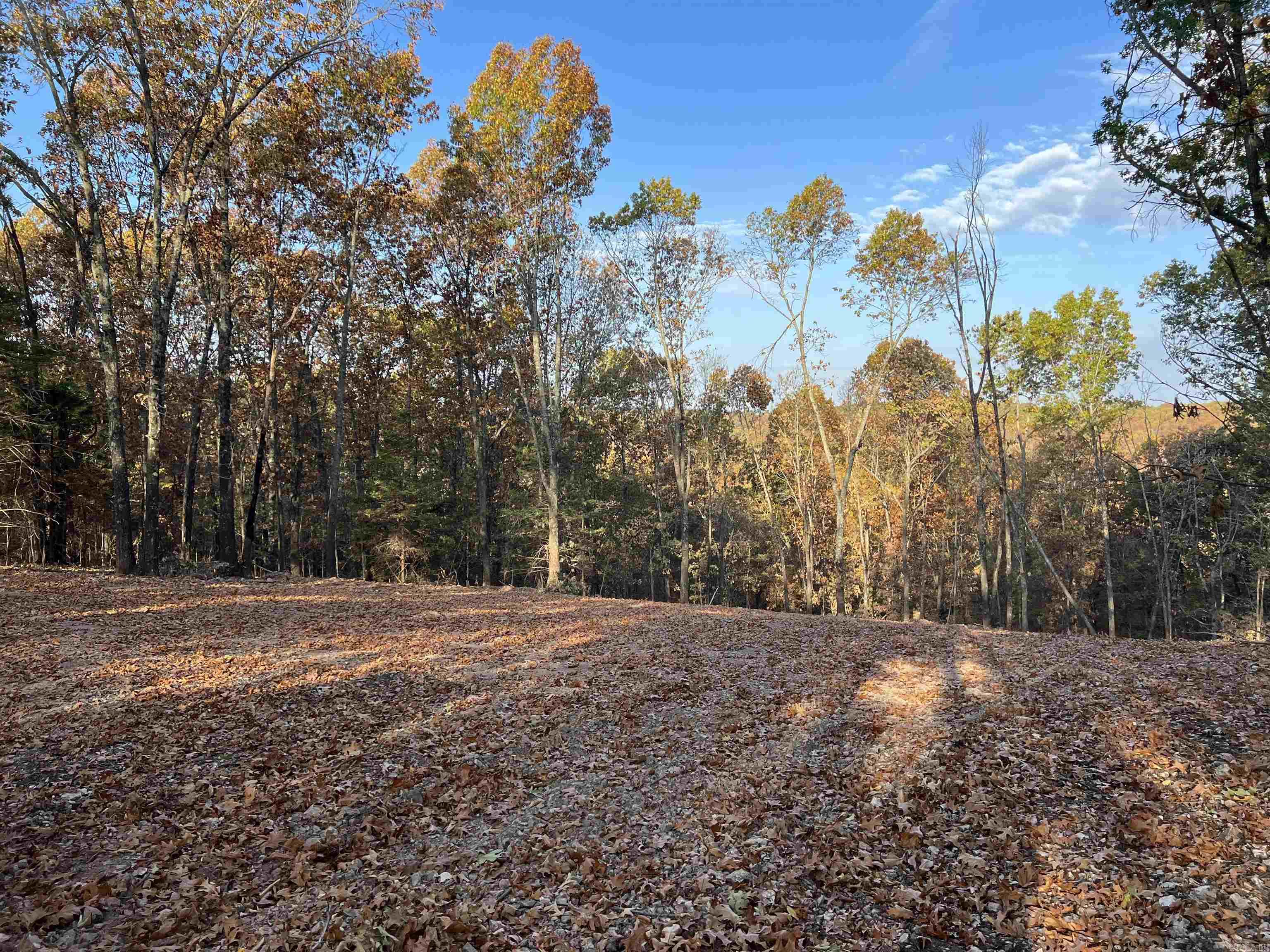 10.51 Ac Jackson Ridge Property Photo 1