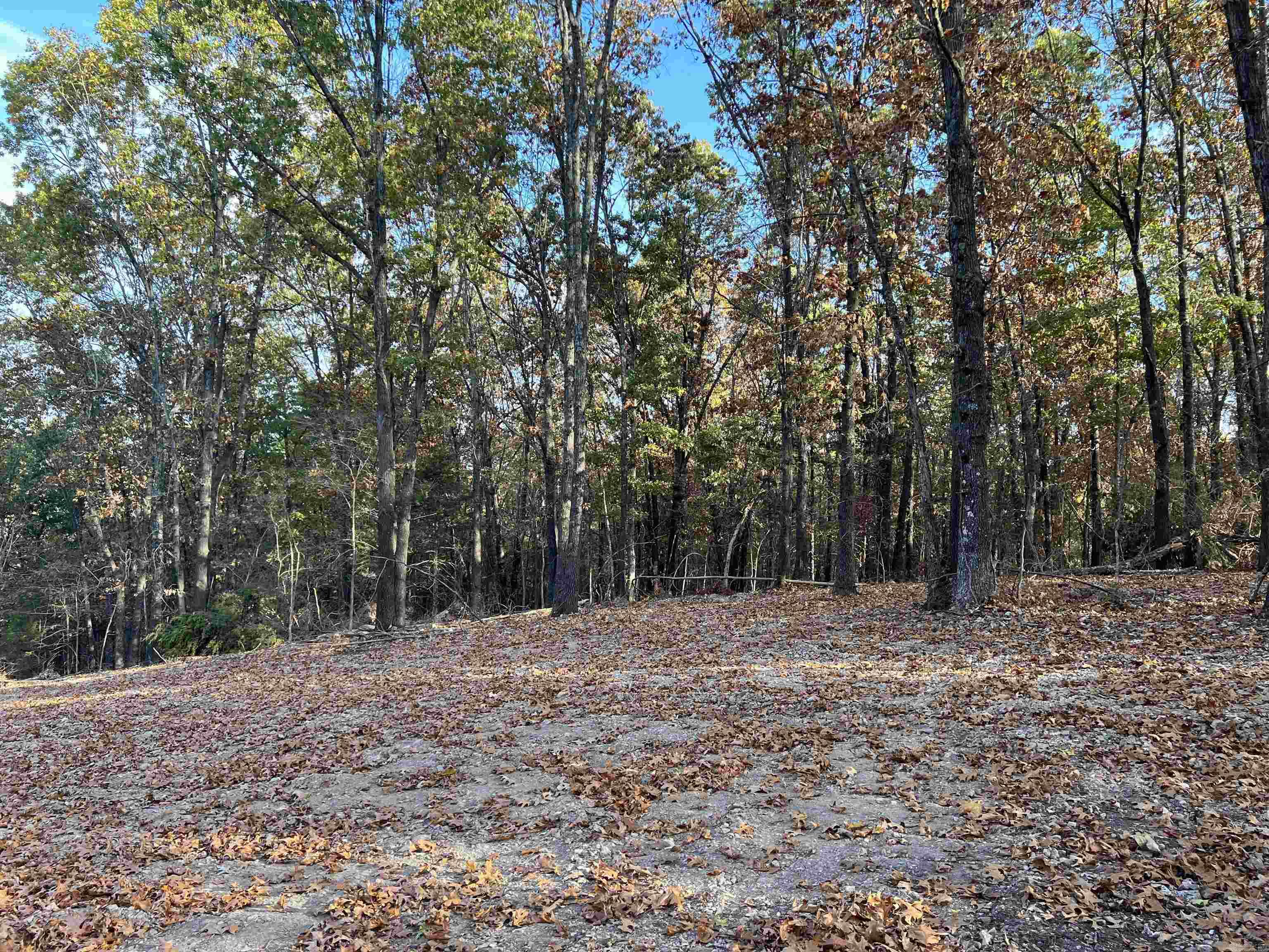 10.51 Ac Jackson Ridge Property Photo 2