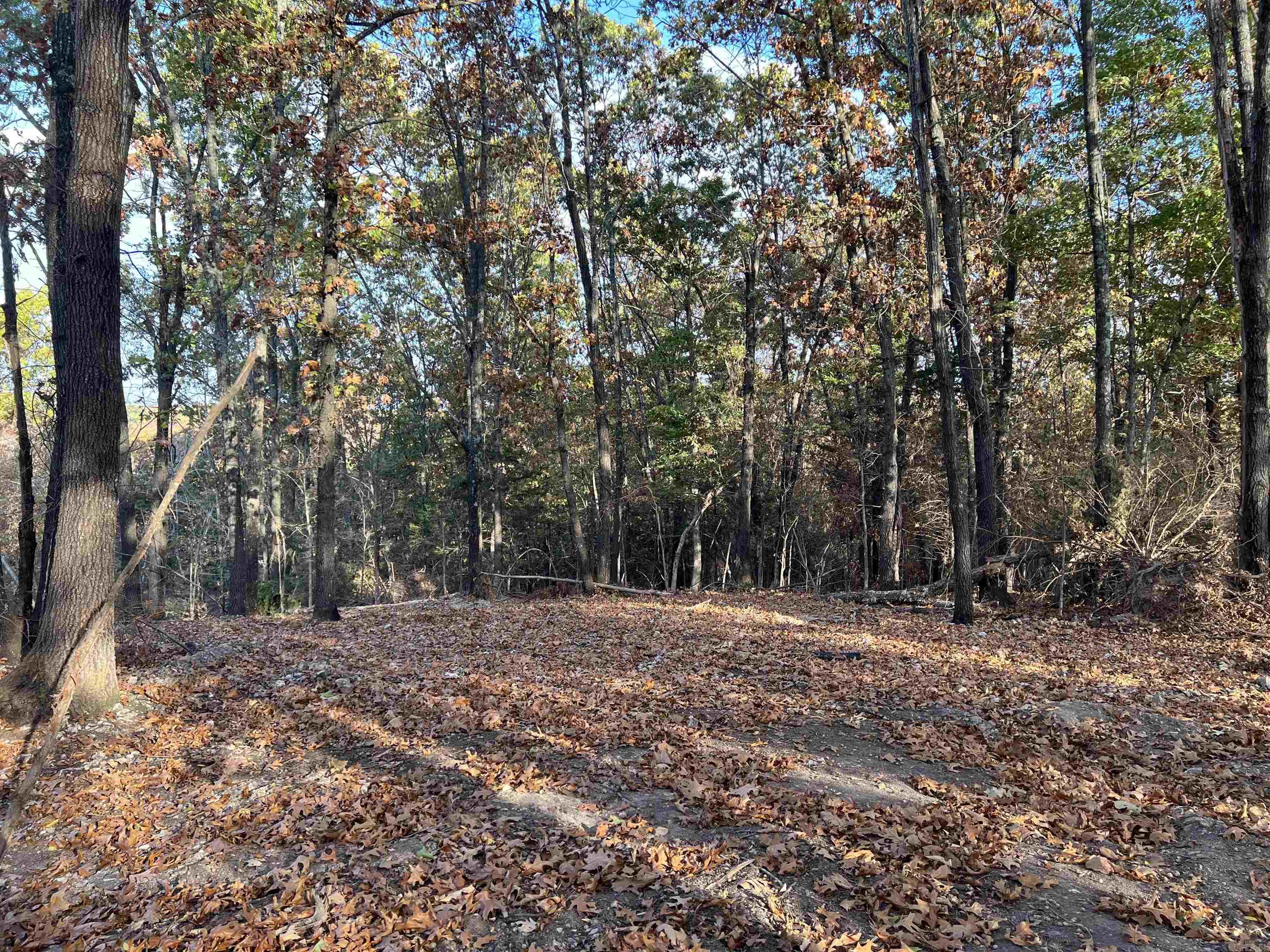 10.51 Ac Jackson Ridge Property Photo 4