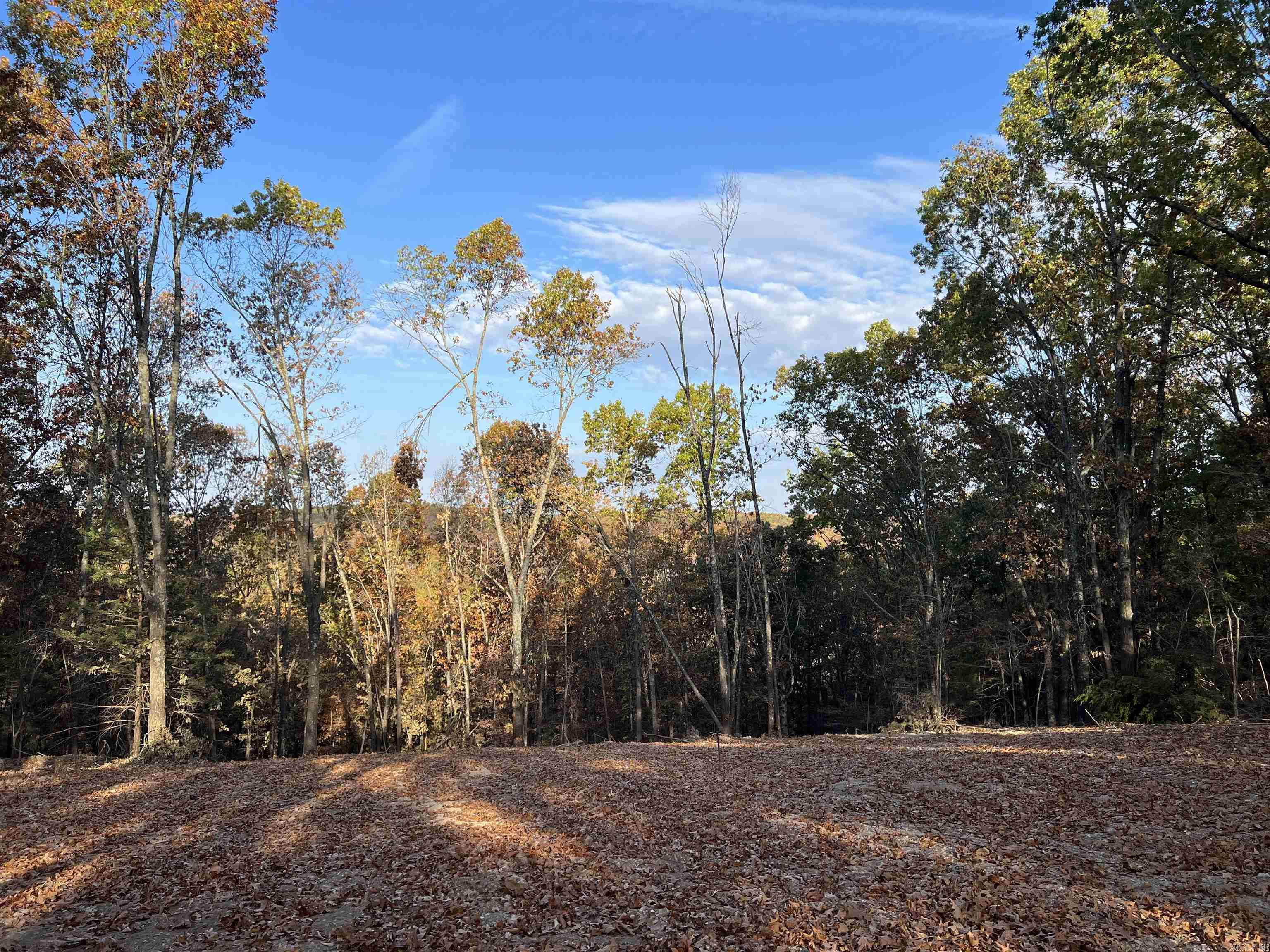 10.51 Ac Jackson Ridge Property Photo 5