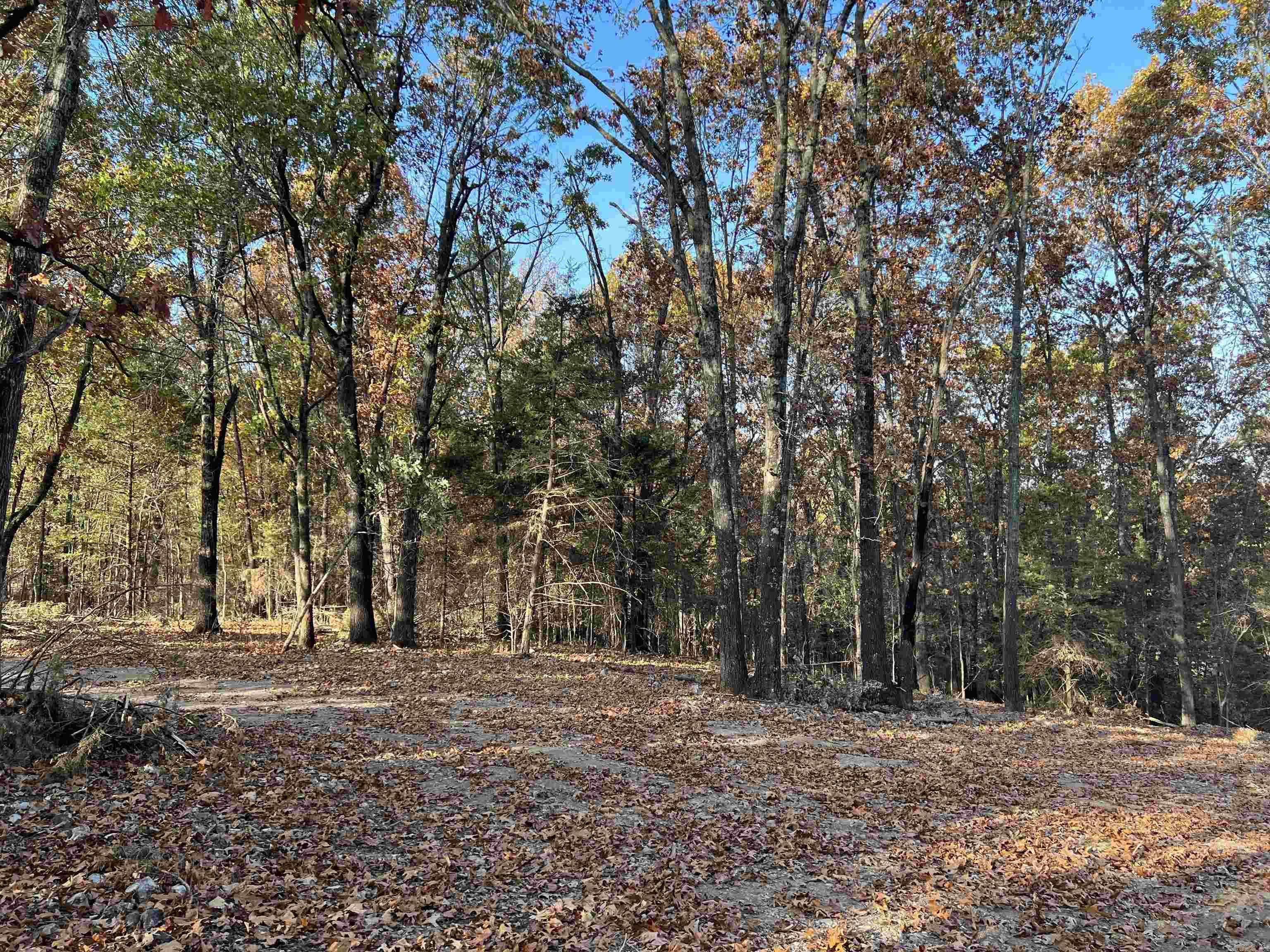 10.51 Ac Jackson Ridge Property Photo 6