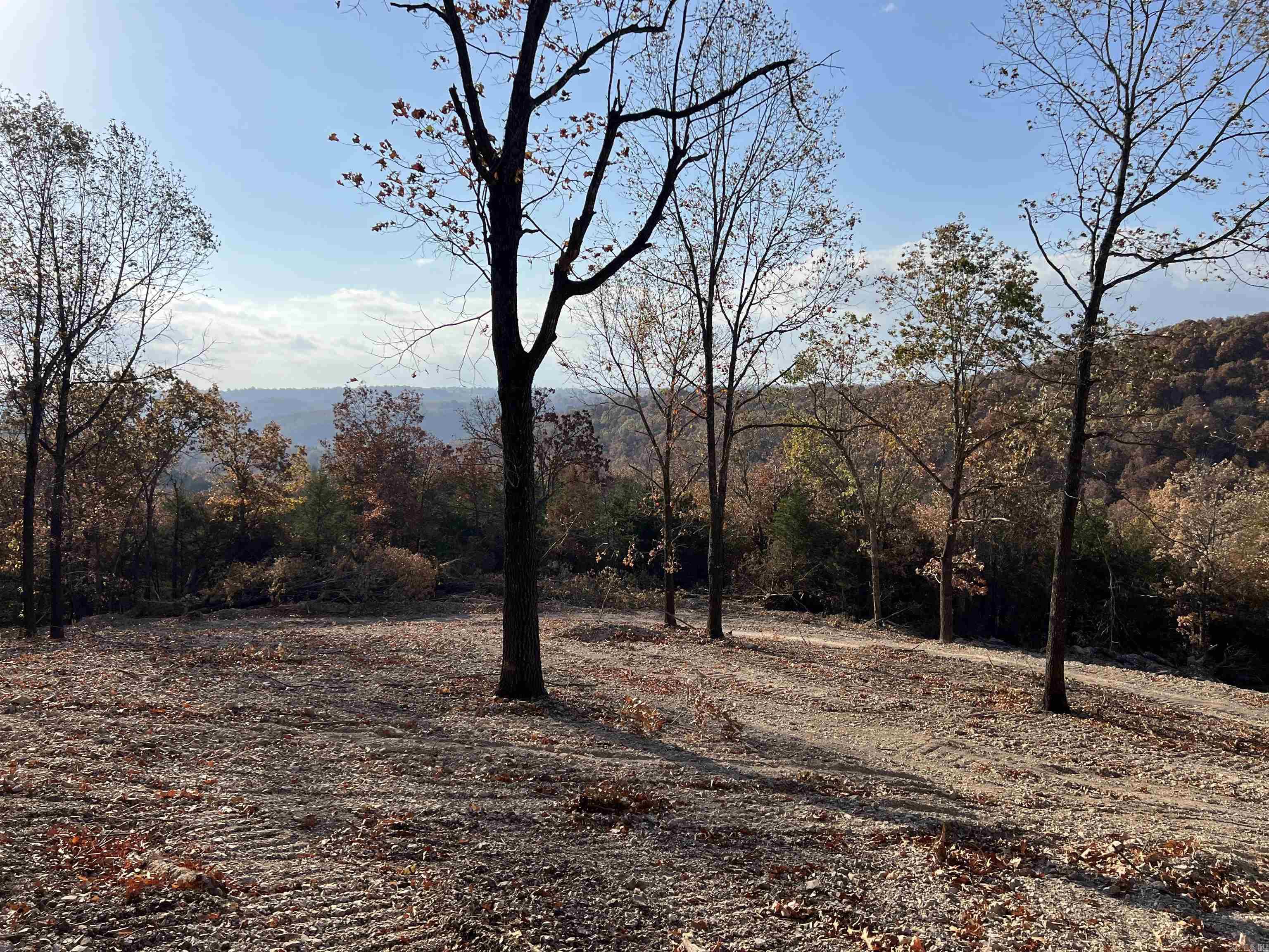 21.73 AC Jackson Ridge Property Photo 1
