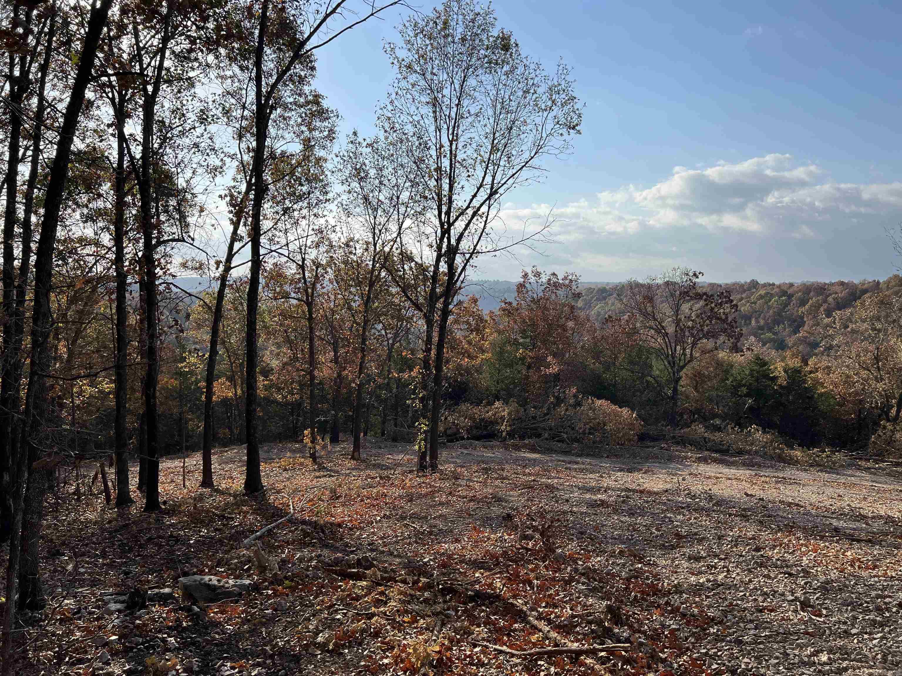 21.73 Ac Jackson Ridge Property Photo 2