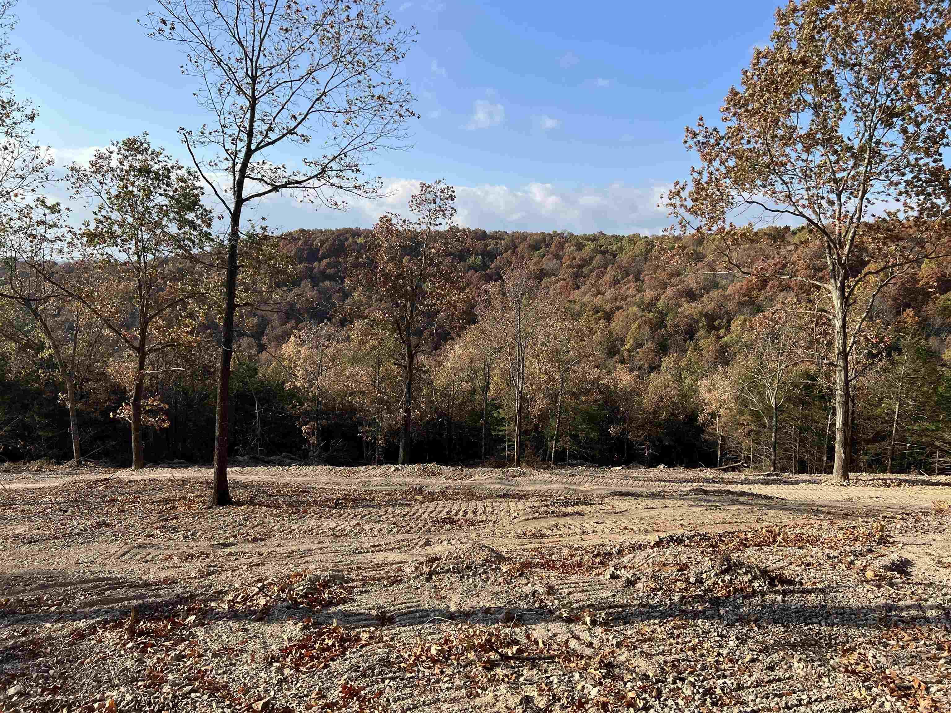 21.73 Ac Jackson Ridge Property Photo 3