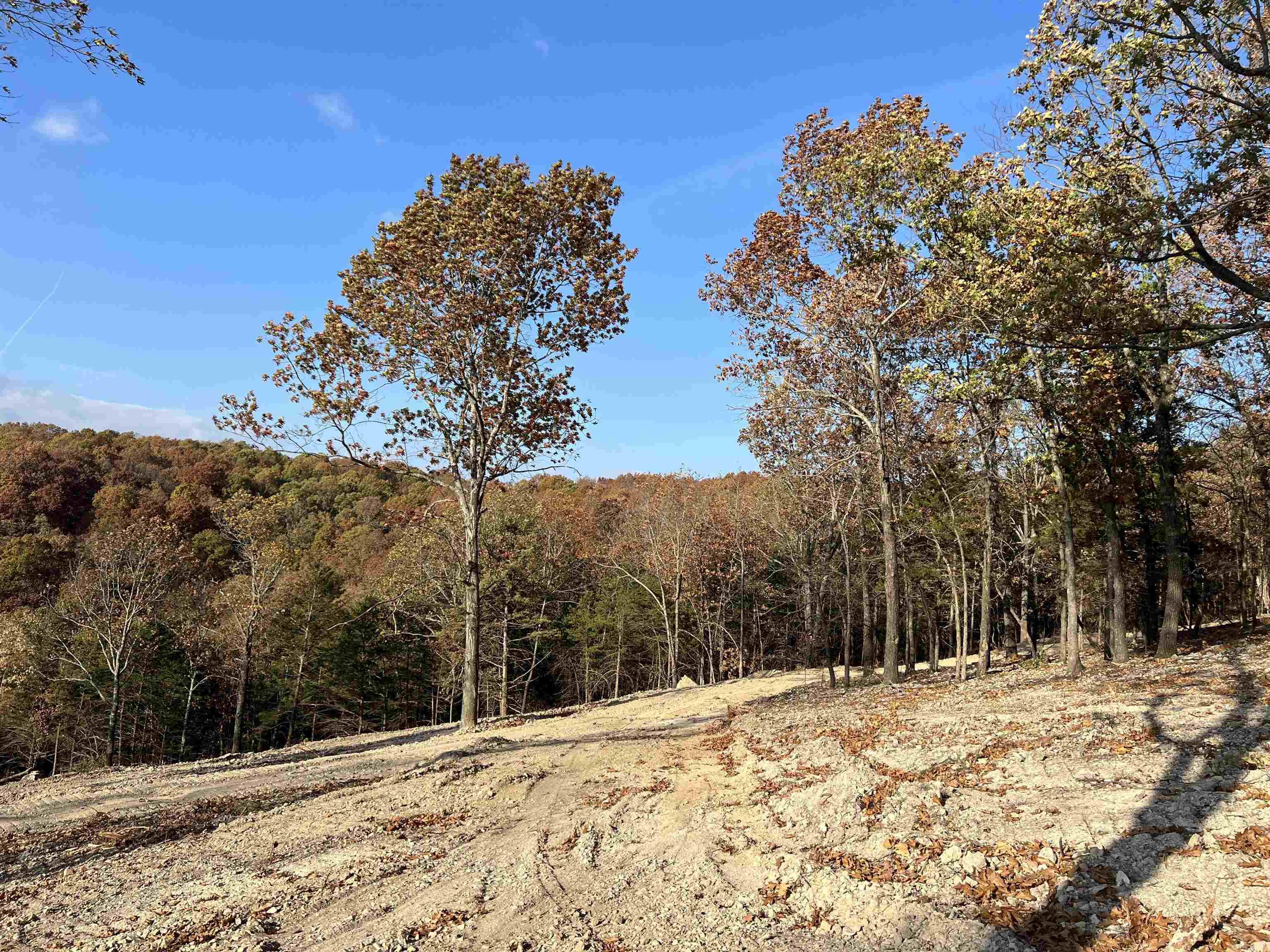 21.73 Ac Jackson Ridge Property Photo 4