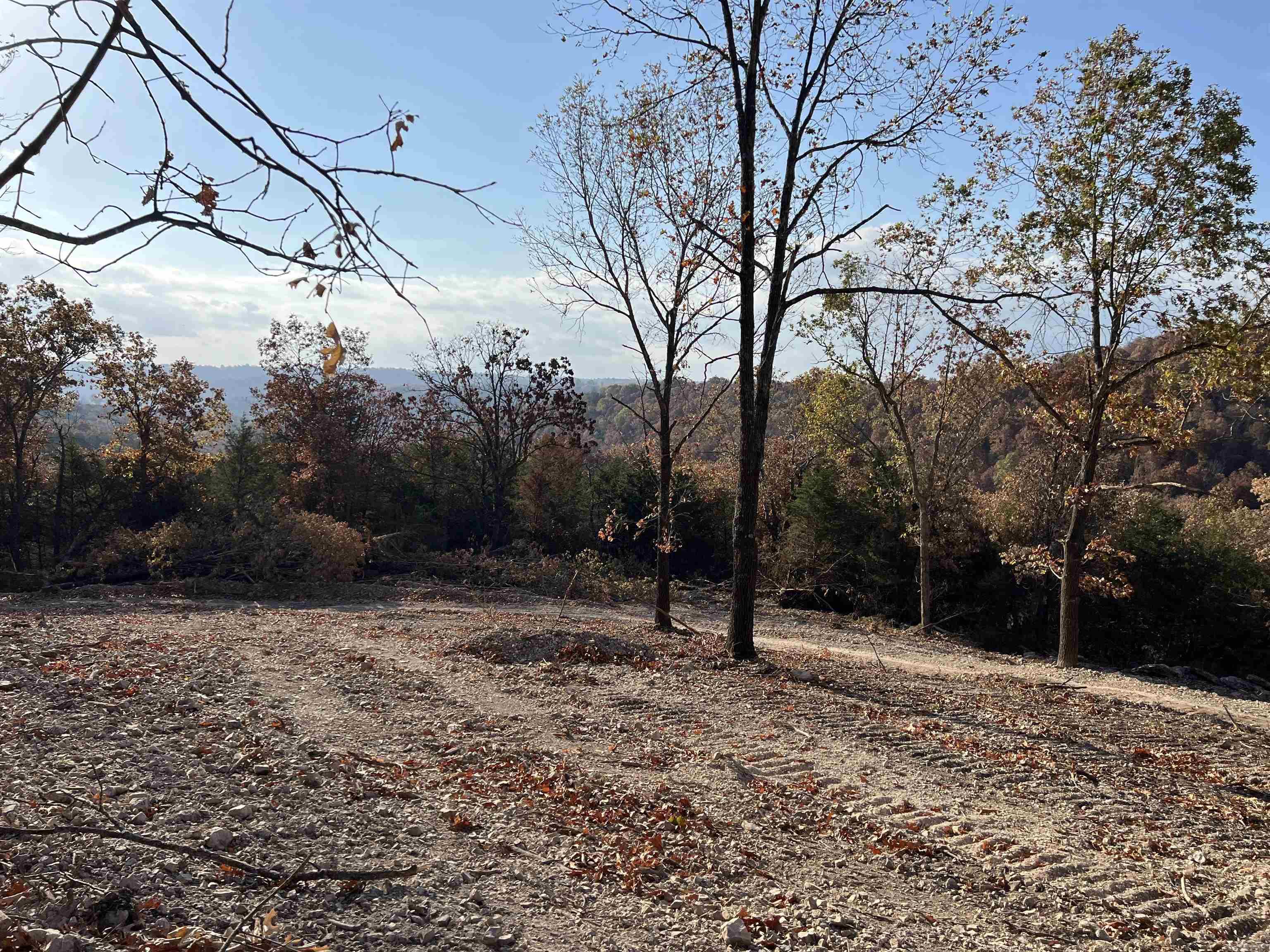 21.73 Ac Jackson Ridge Property Photo 5