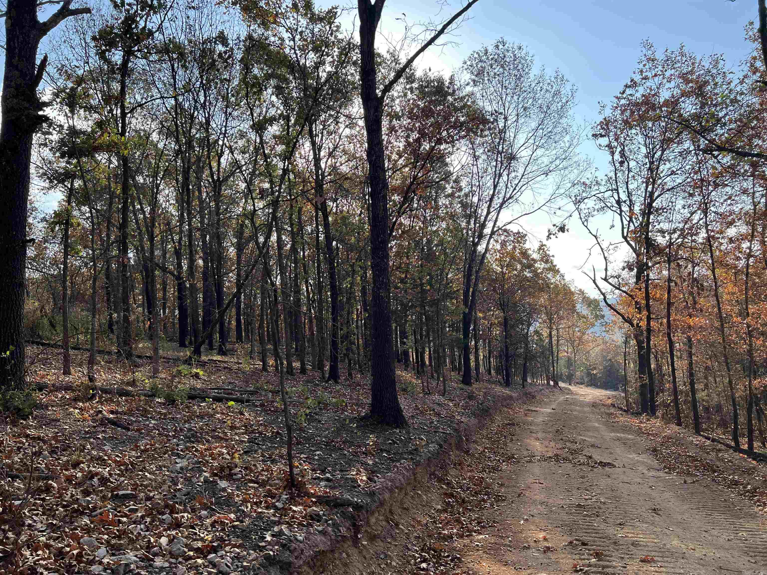 21.73 Ac Jackson Ridge Property Photo 6
