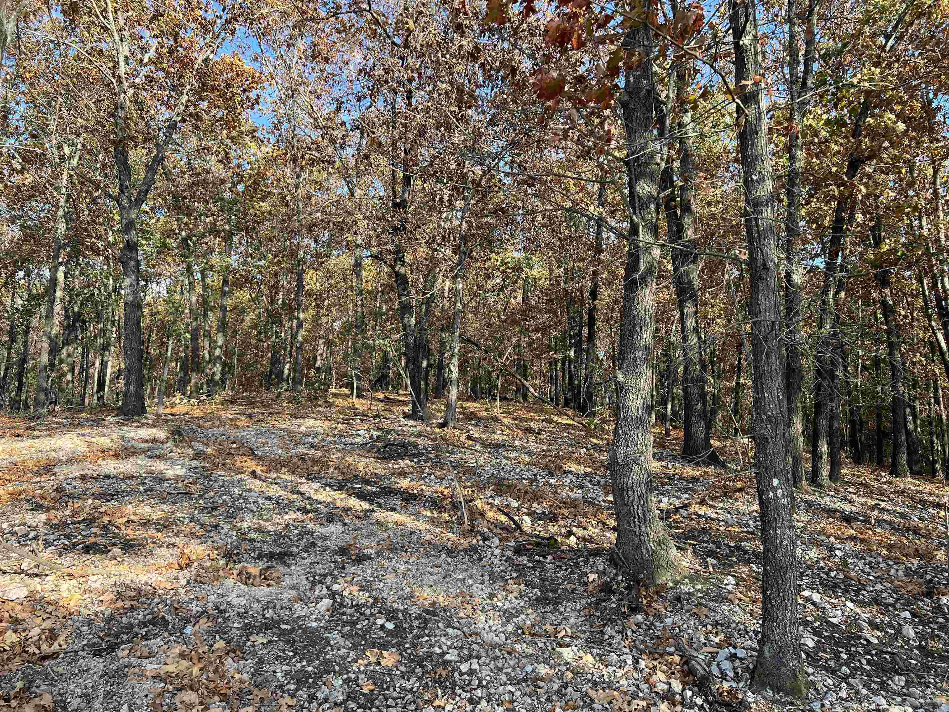 21.73 Ac Jackson Ridge Property Photo 7