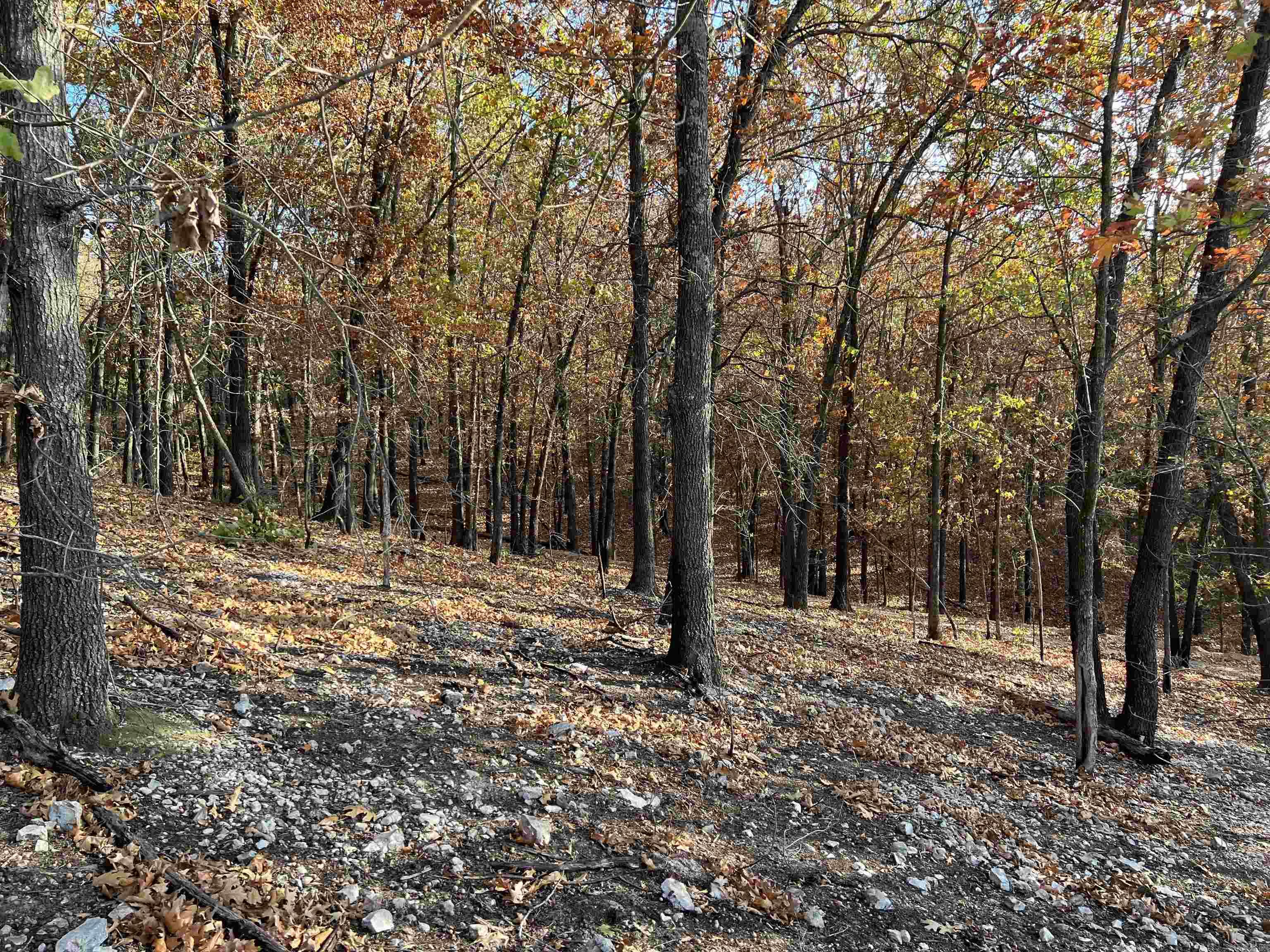 21.73 Ac Jackson Ridge Property Photo 8