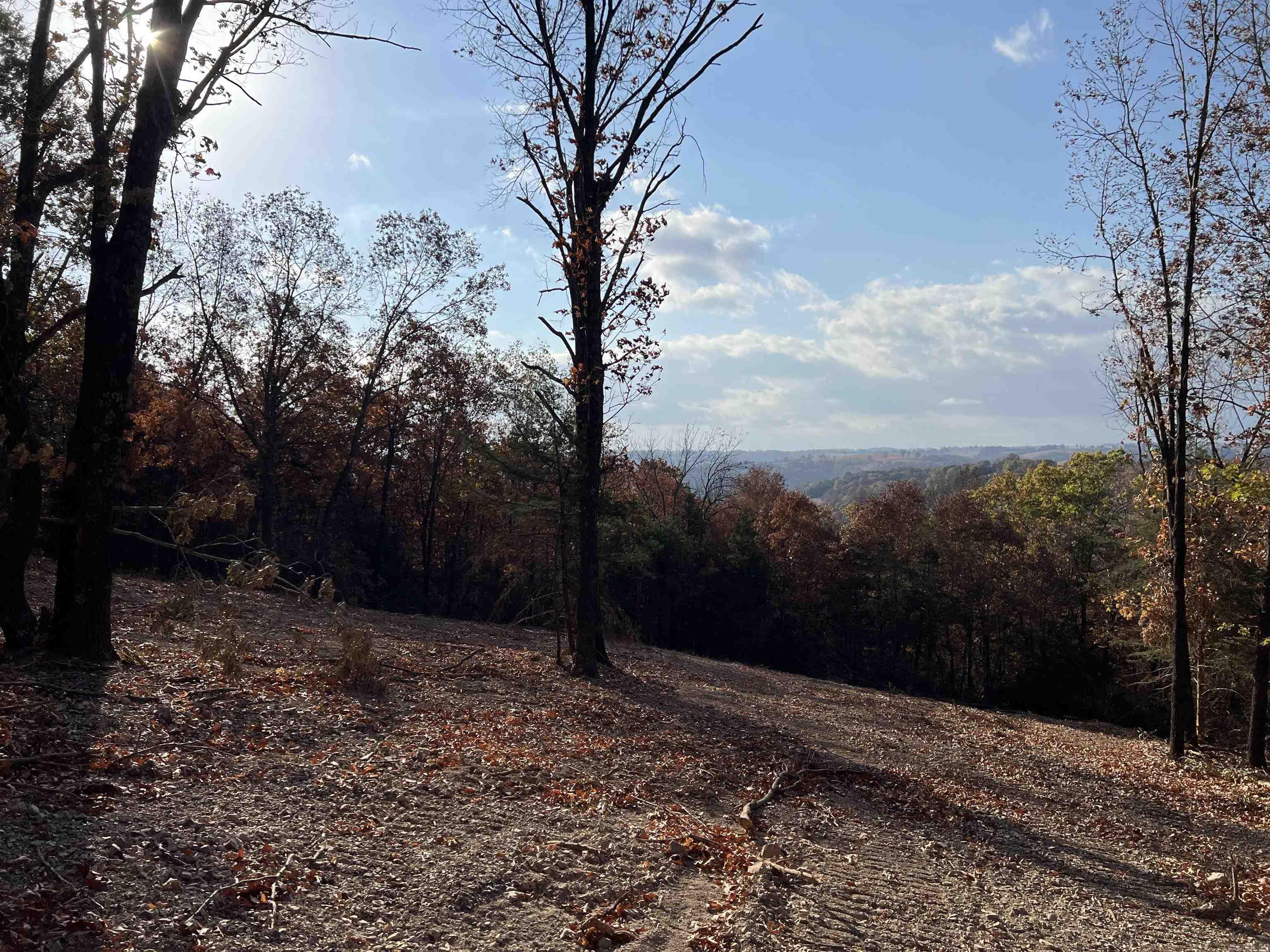 11.00 Ac Jackson Ridge Property Photo 1