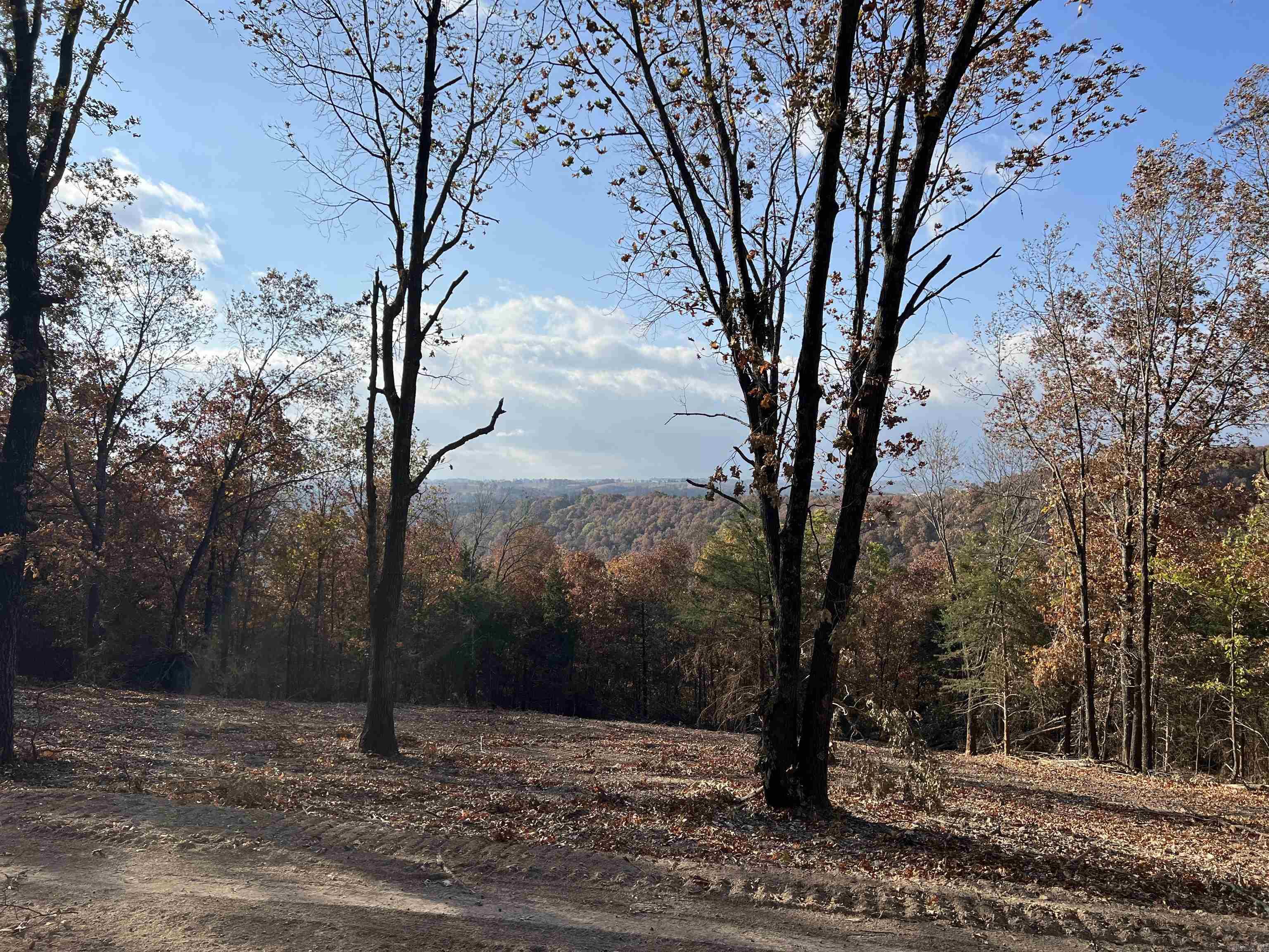 11.00 Ac Jackson Ridge Property Photo 2