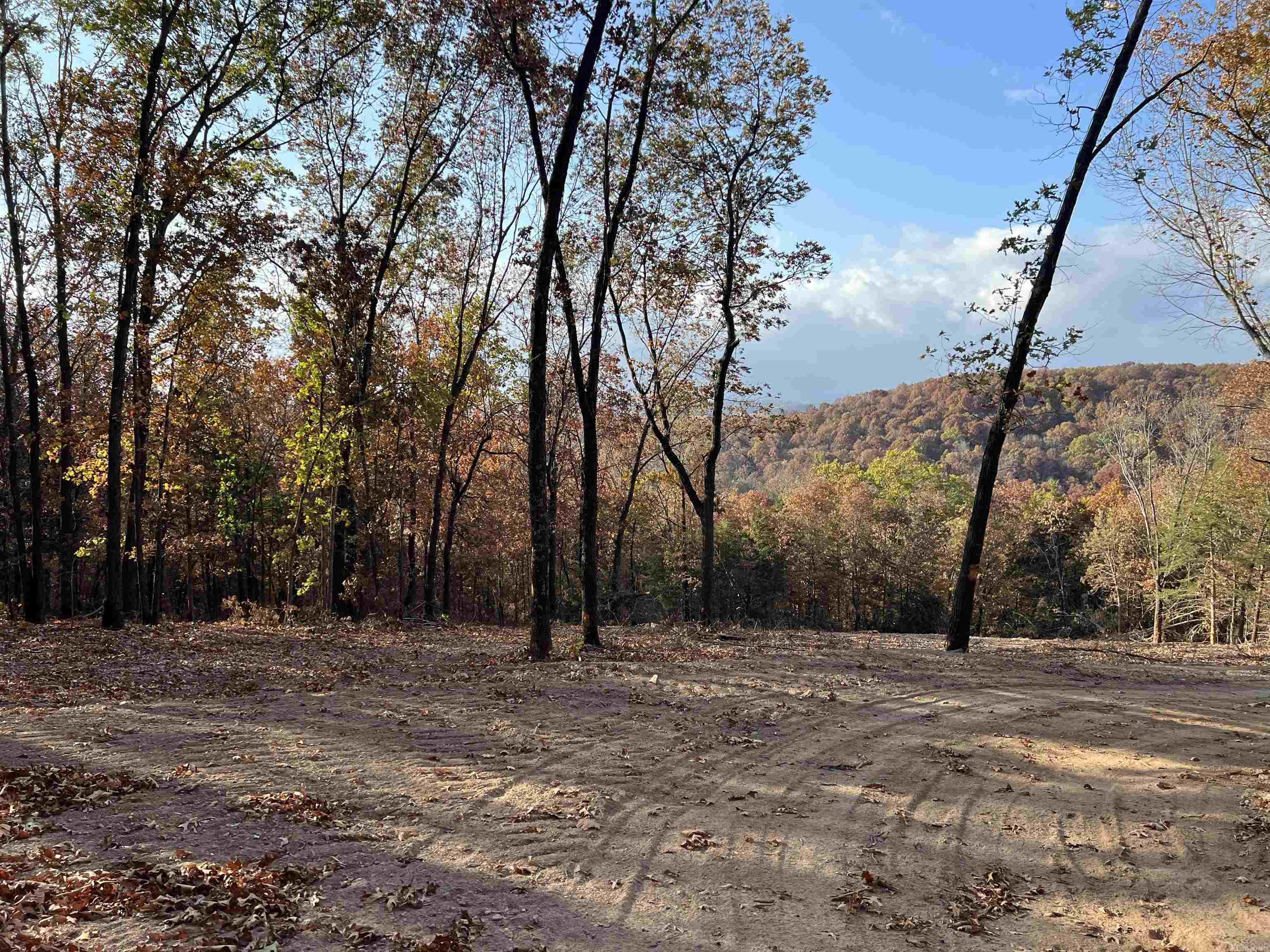 11.00 Ac Jackson Ridge Property Photo 3